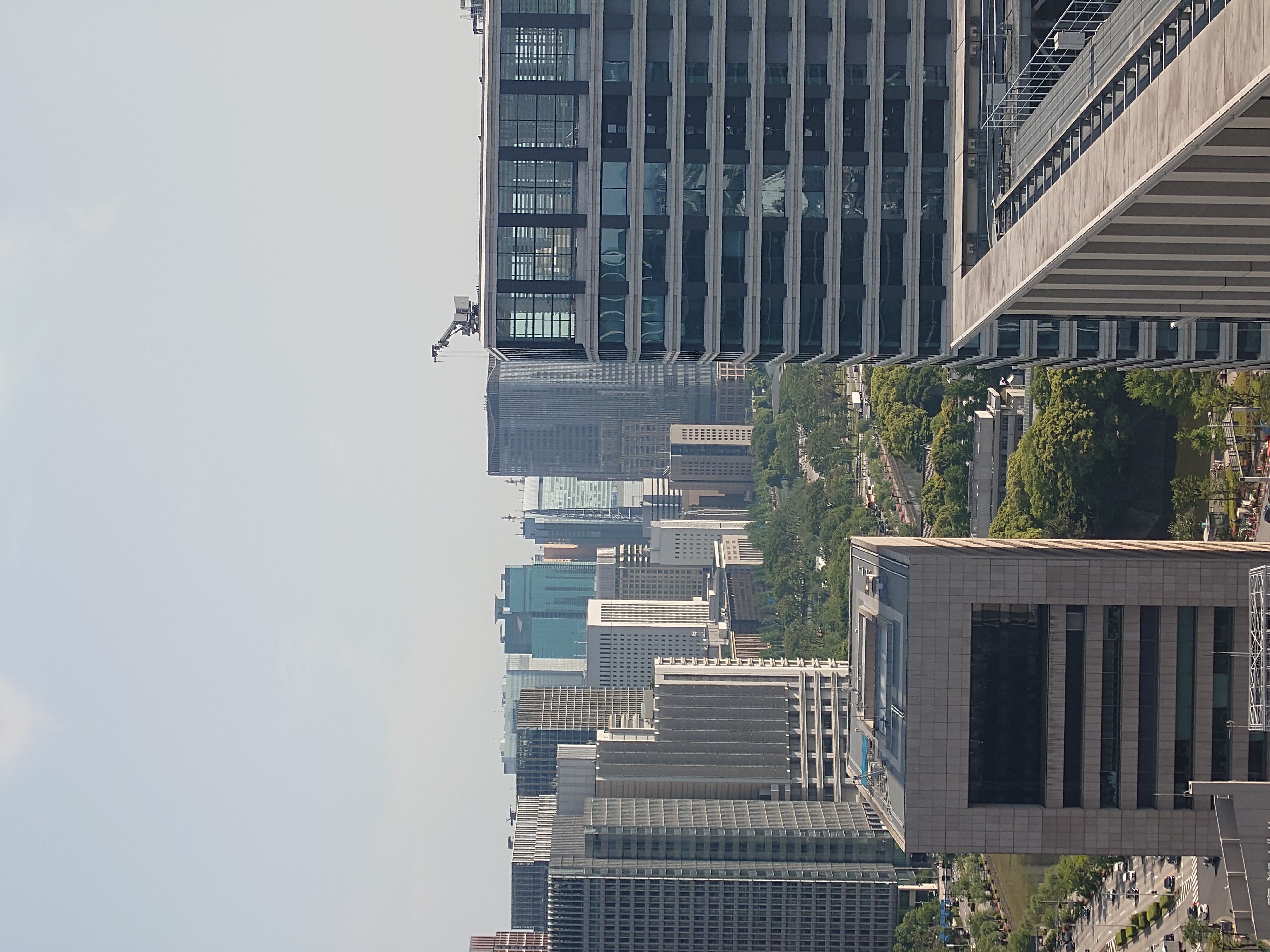 85mm（望遠、光学）