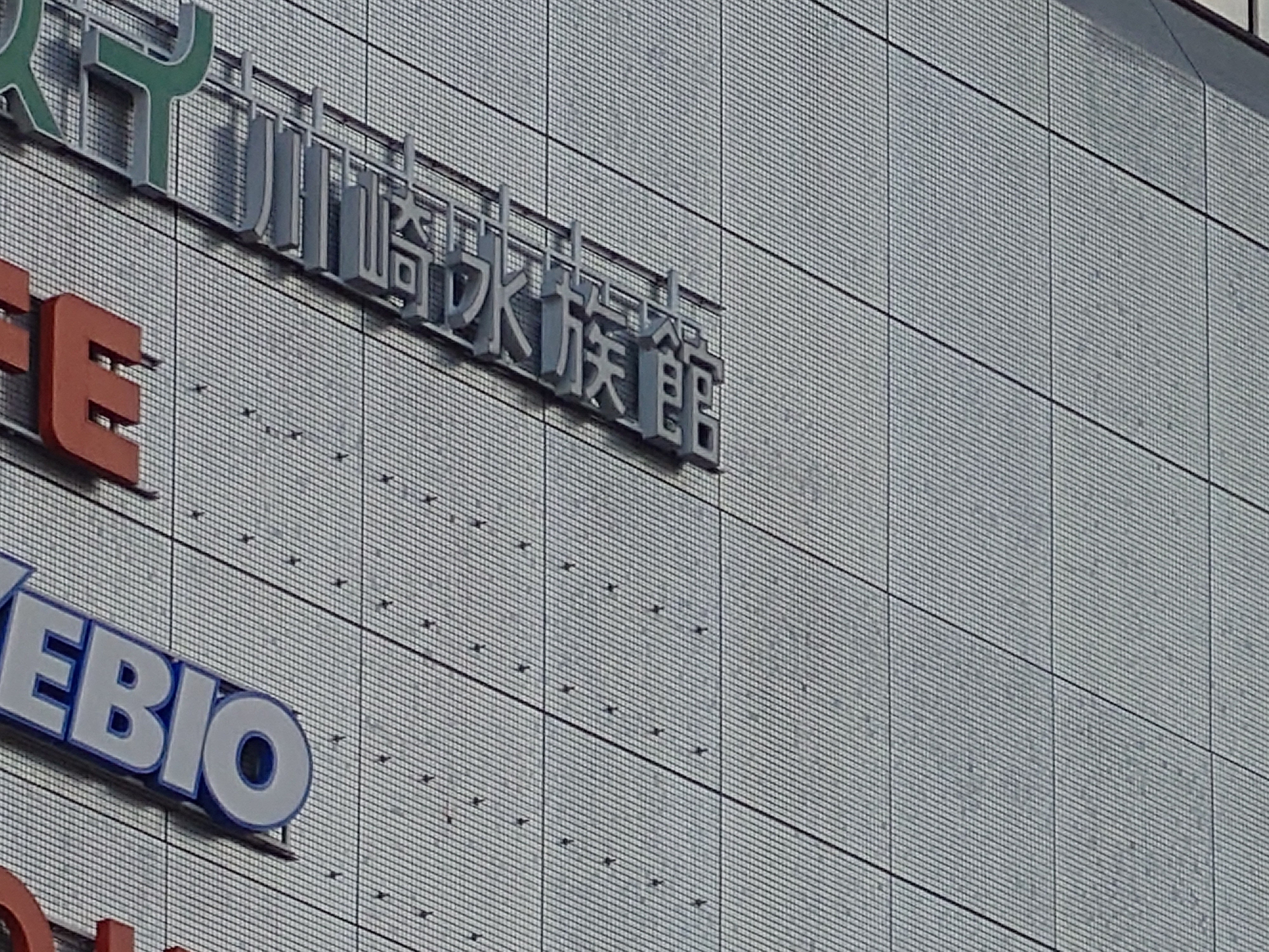 300mm（望遠、デジタルズーム）