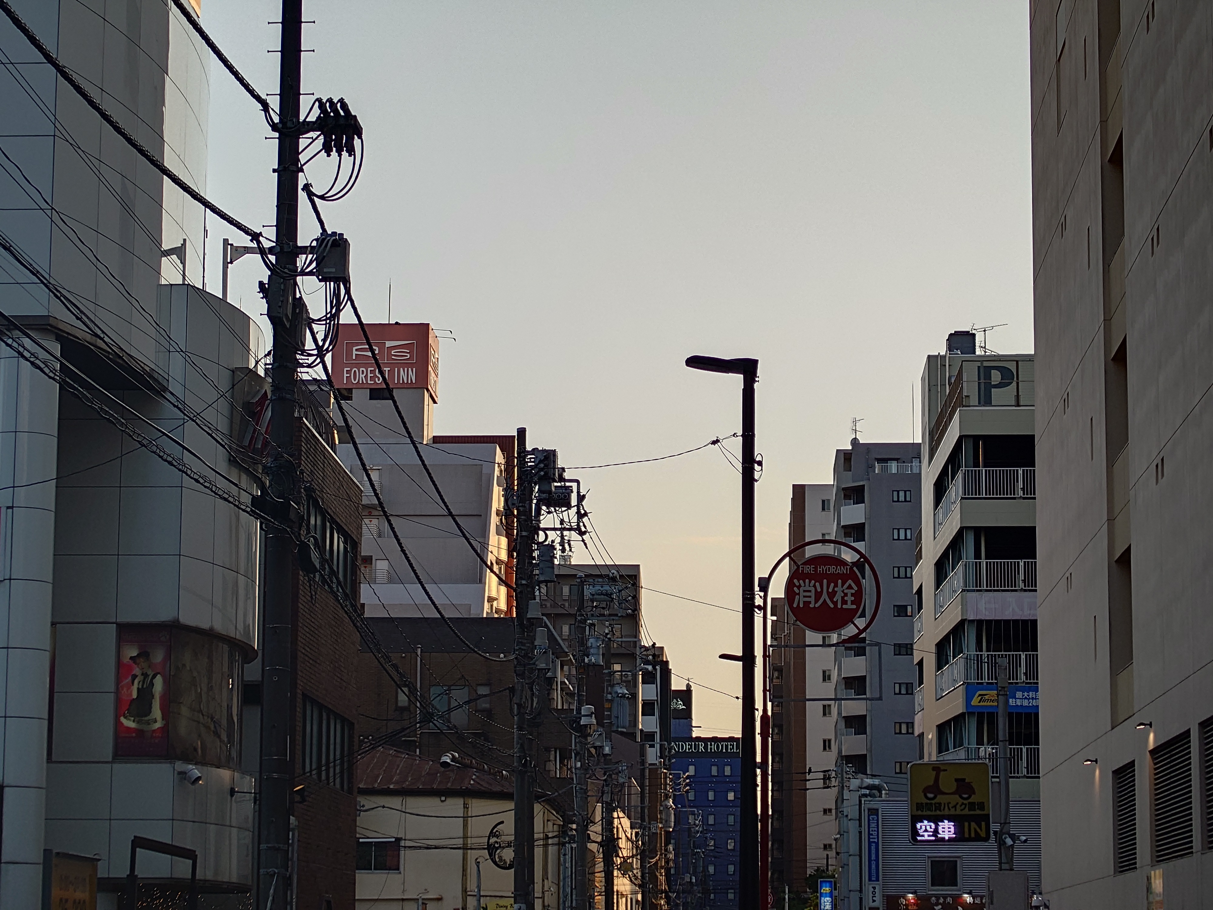 85mm（望遠、光学）