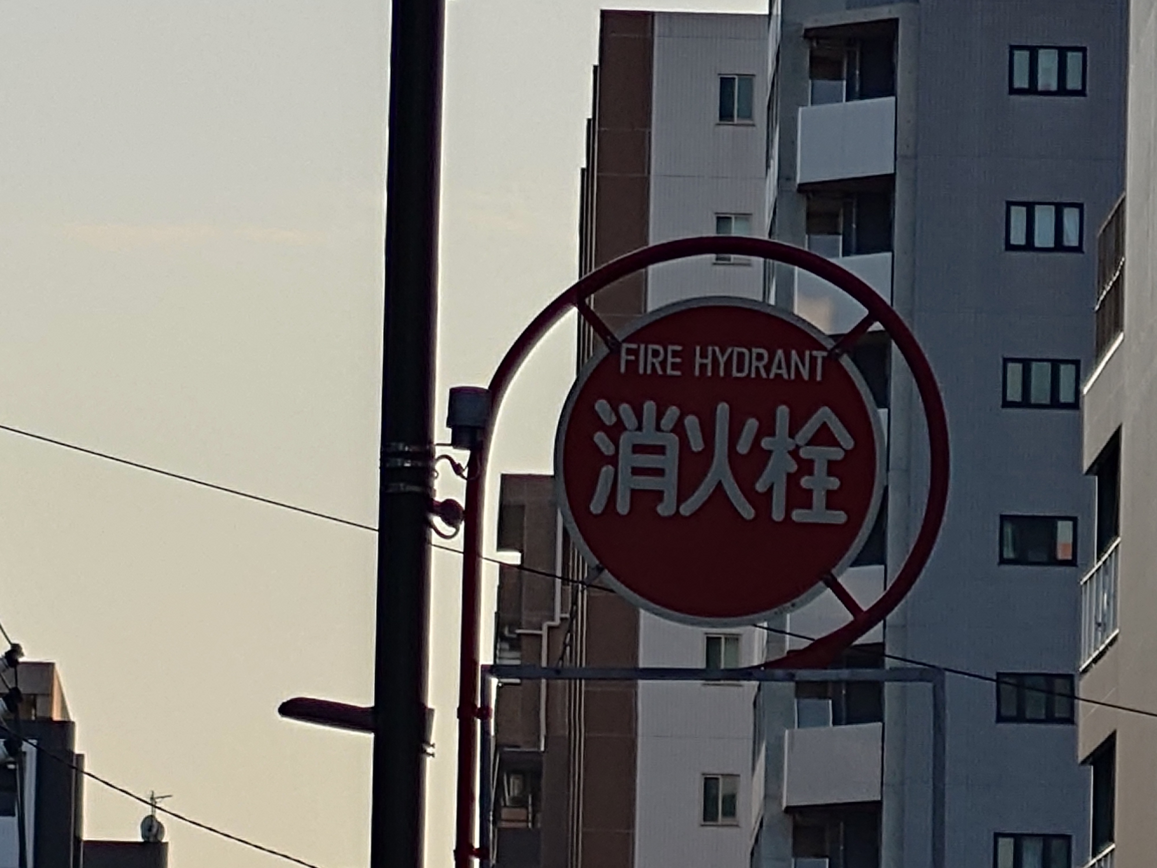 300mm（望遠、デジタルズーム）