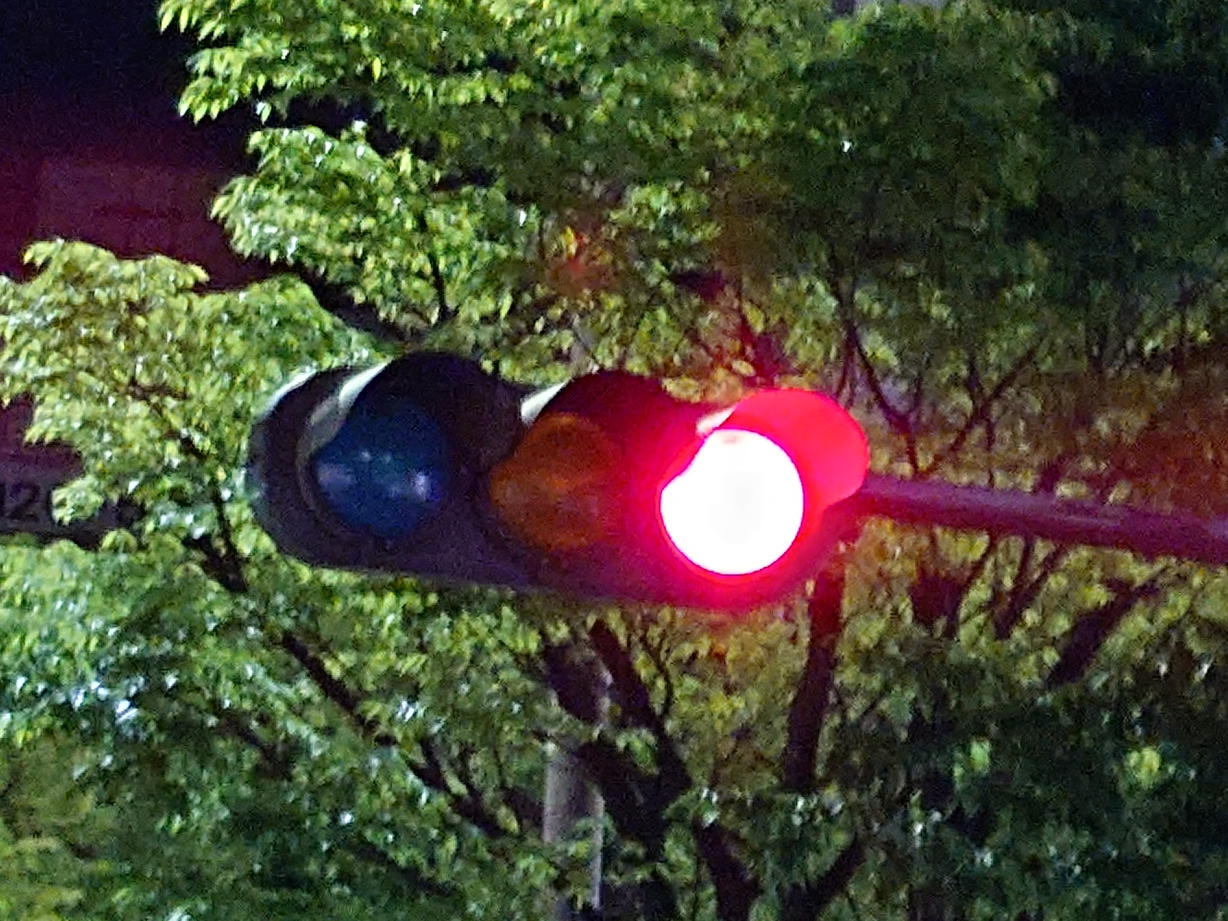 300mm（望遠、デジタルズーム）