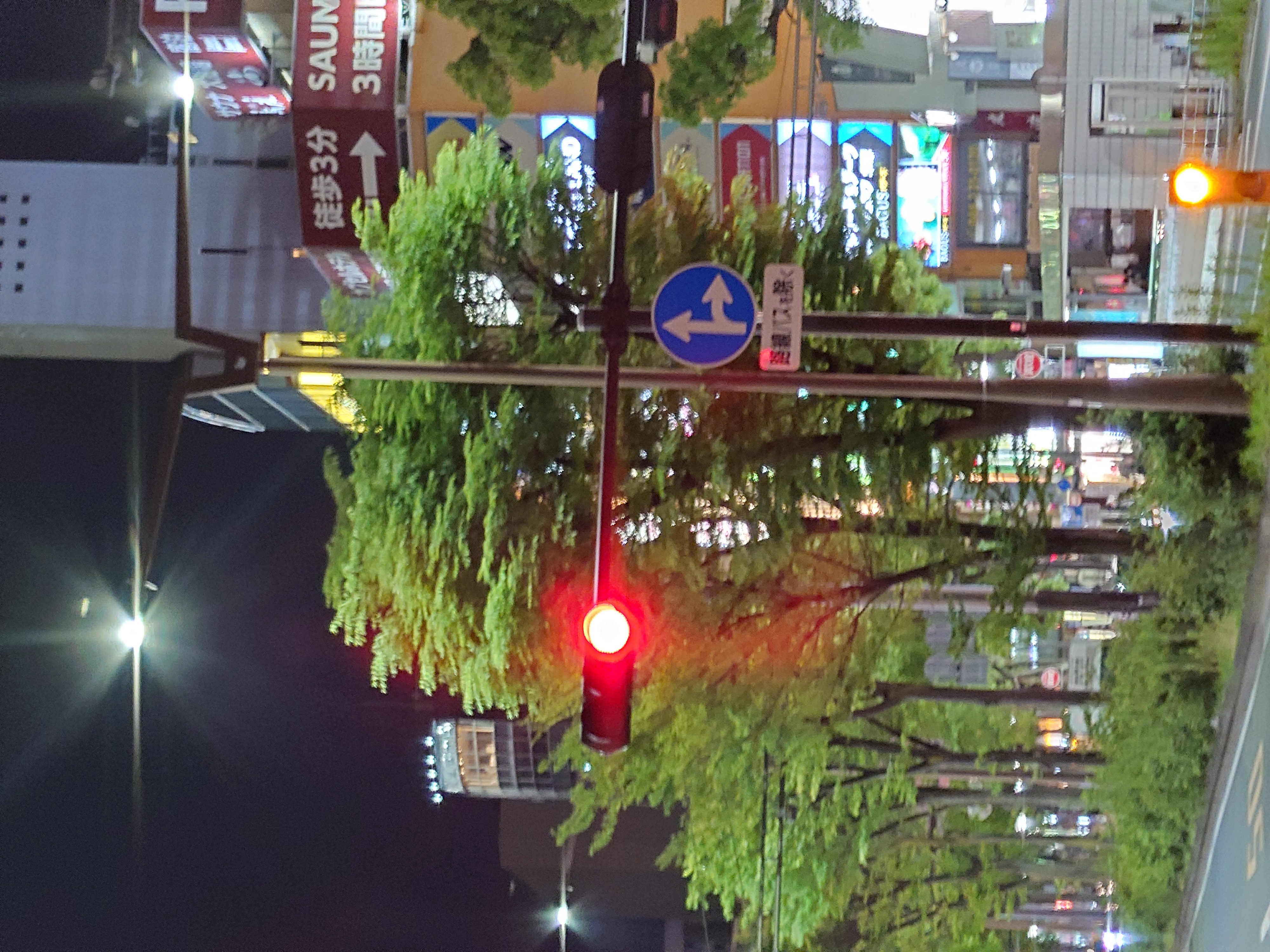 125mm（望遠、光学）