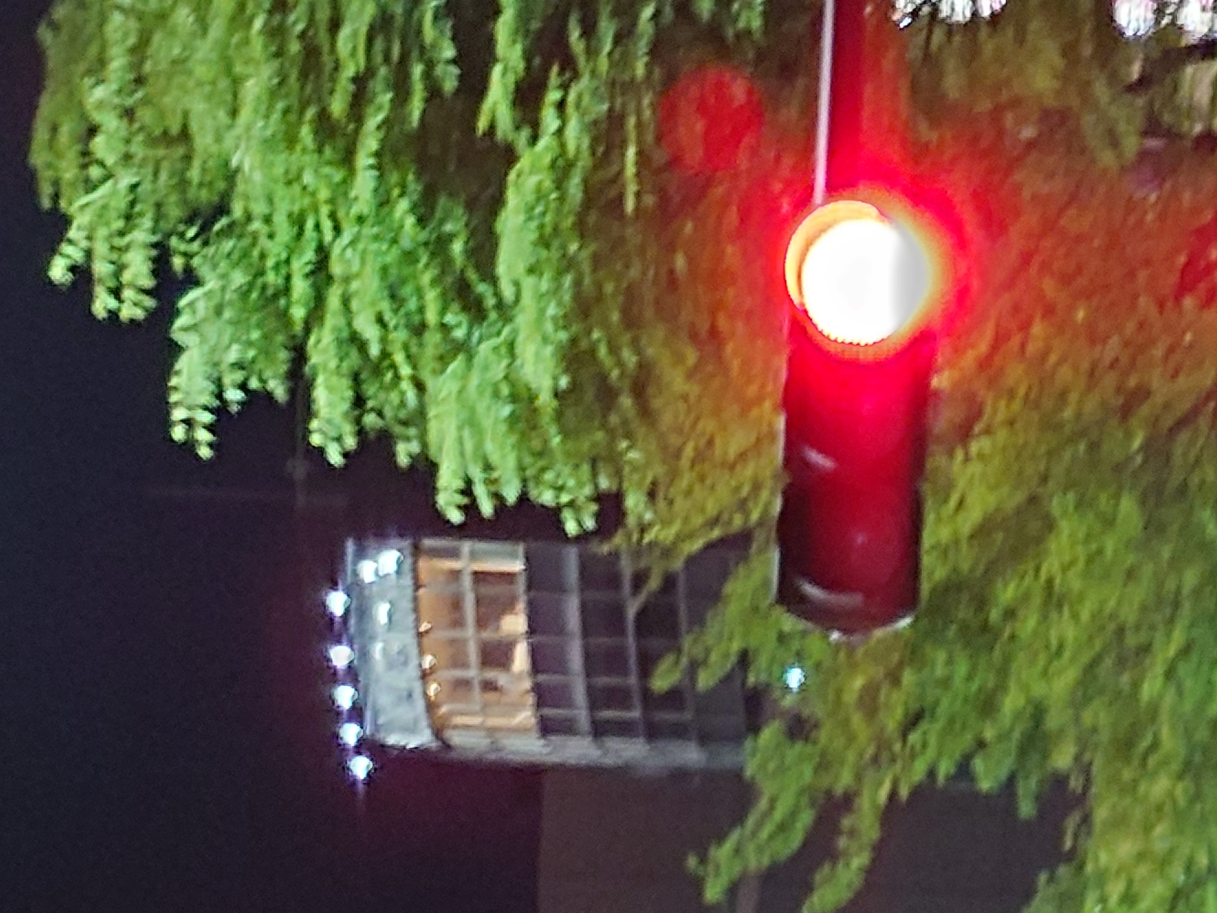 300mm（望遠、デジタルズーム）