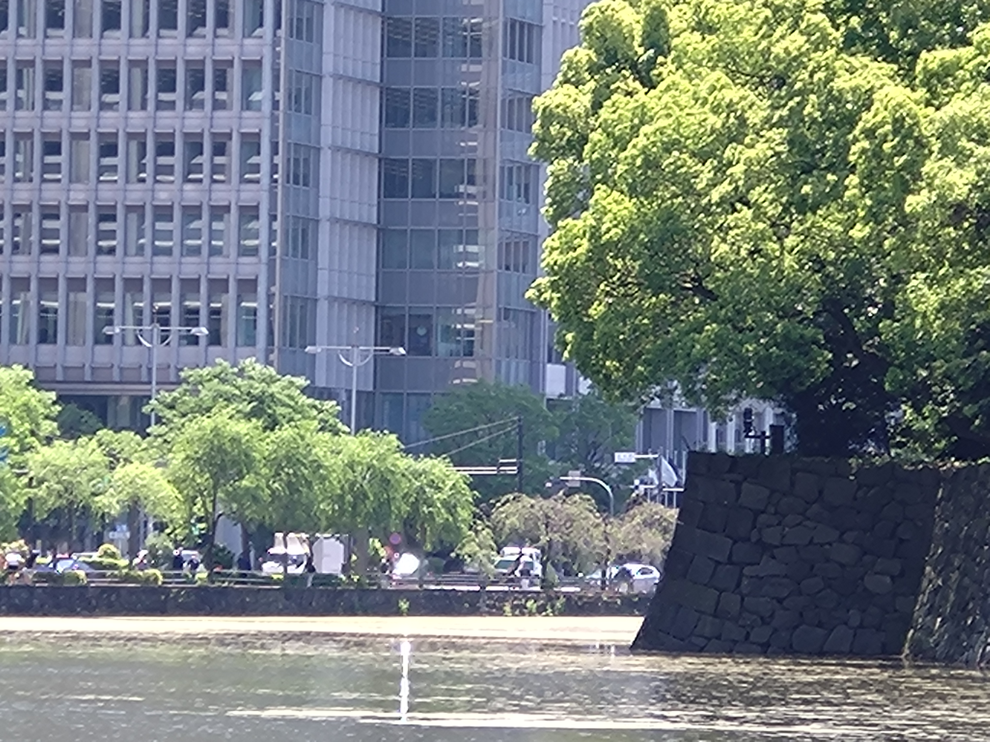 10倍に拡大（デジタルズーム）