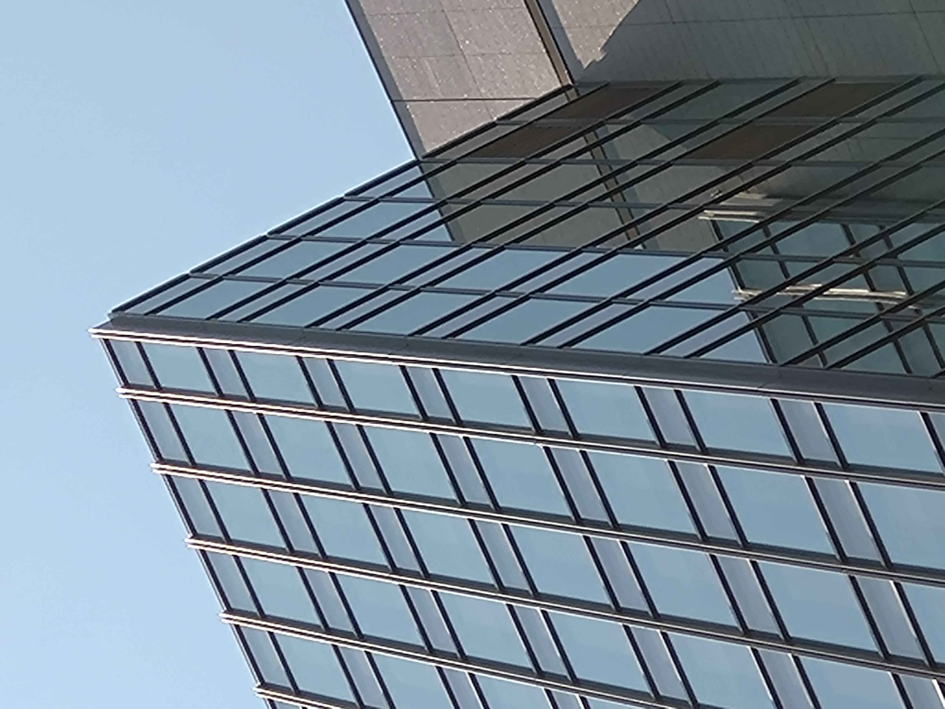 10倍に拡大（デジタルズーム）