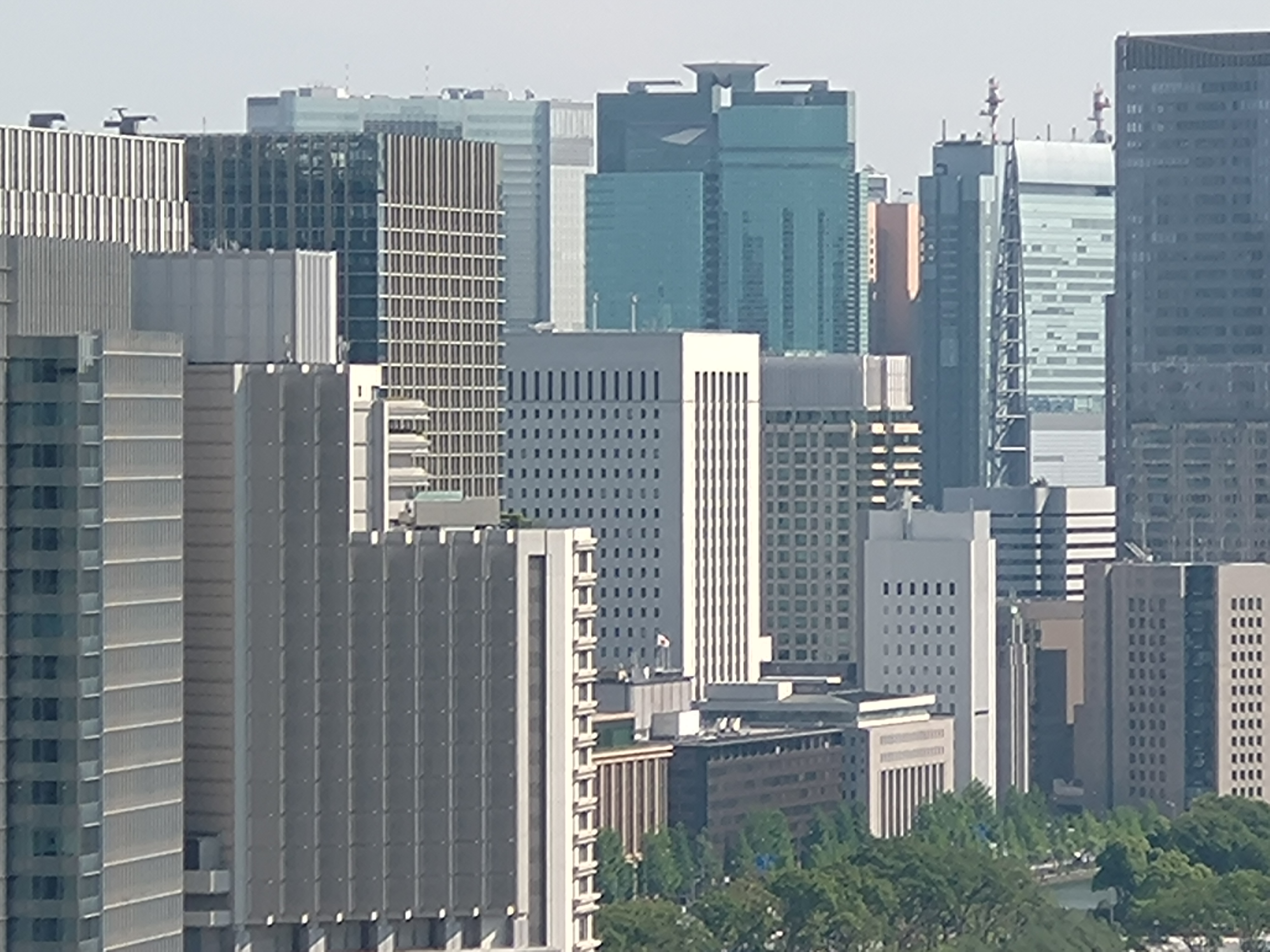 10倍に拡大（デジタルズーム）