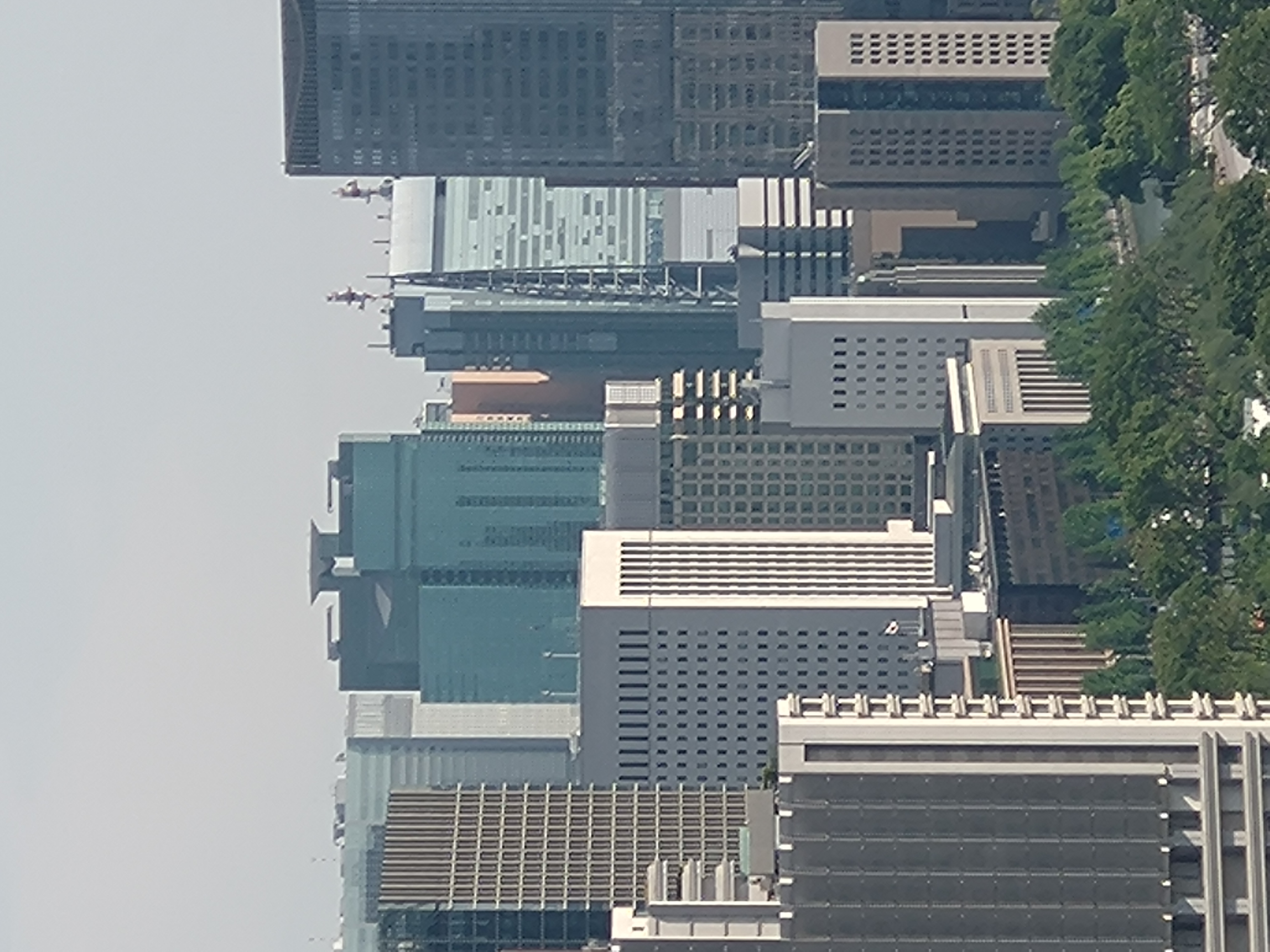 10倍に拡大（デジタルズーム）