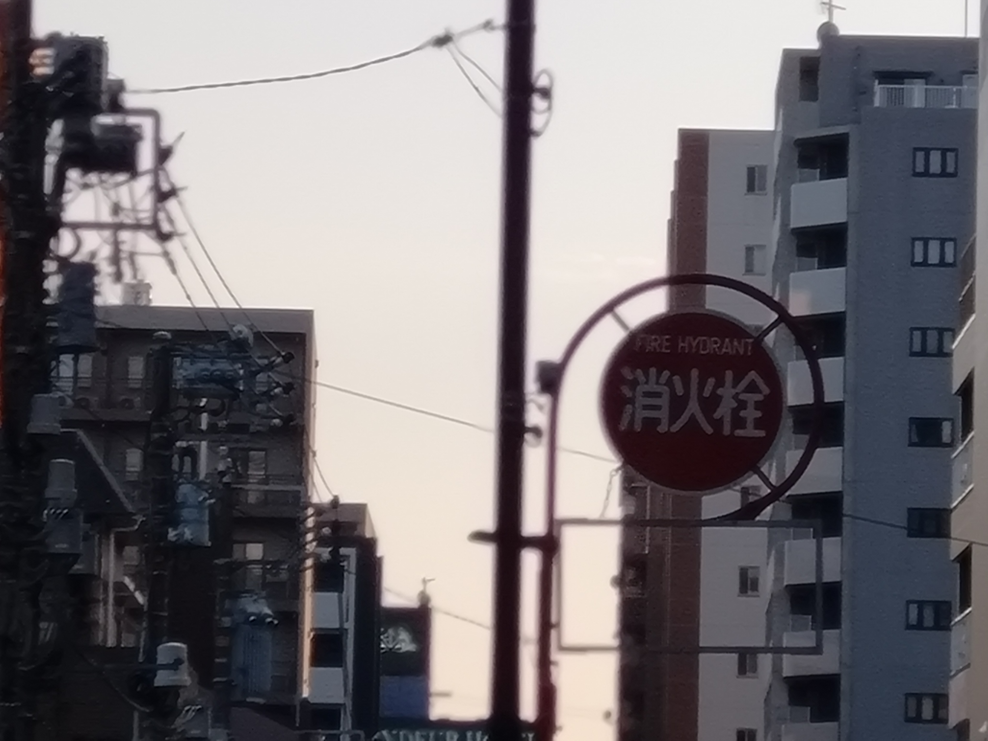 10倍に拡大（デジタルズーム）