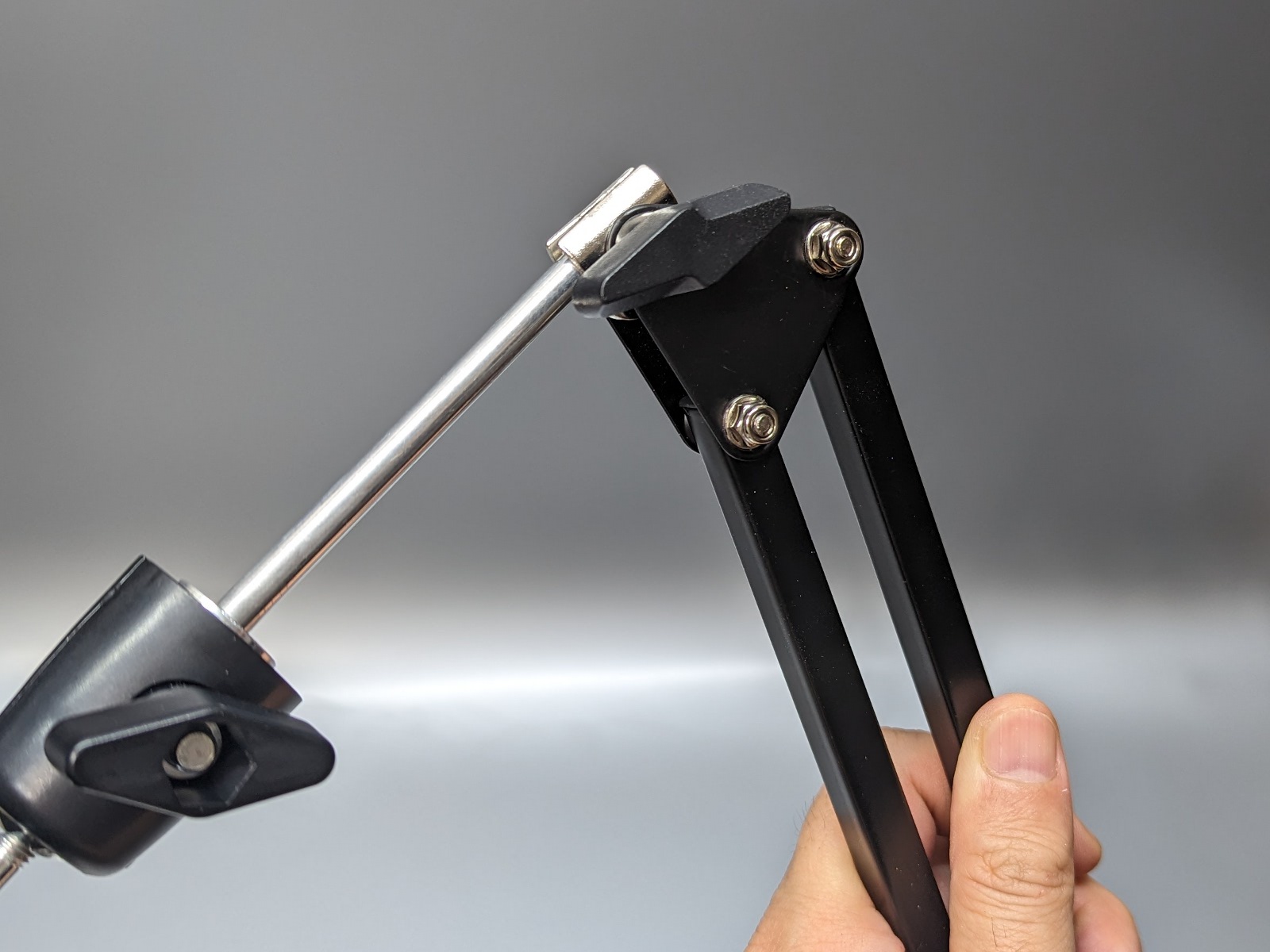 手首に相当する関節。ここから先は細くなっている