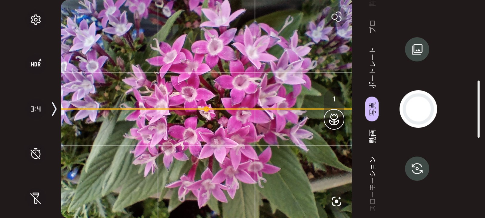 マクロ撮影は標準のカメラアプリに切り替えボタンが用意されており、ワンタッチで切り替え可能。