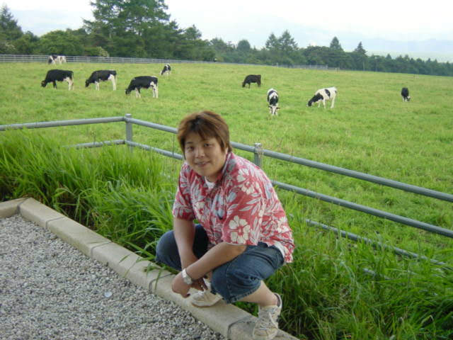 20年前の2003年夏に撮影した写真で試してみました。約30万画素（640×480）で撮影したものなので、画質の悪さはいかんともし難いのですが、消したい対象を違和感なく消すことができ、全体にぼんやりしていた写真をパキッと、かつ色鮮やかに加工することができました