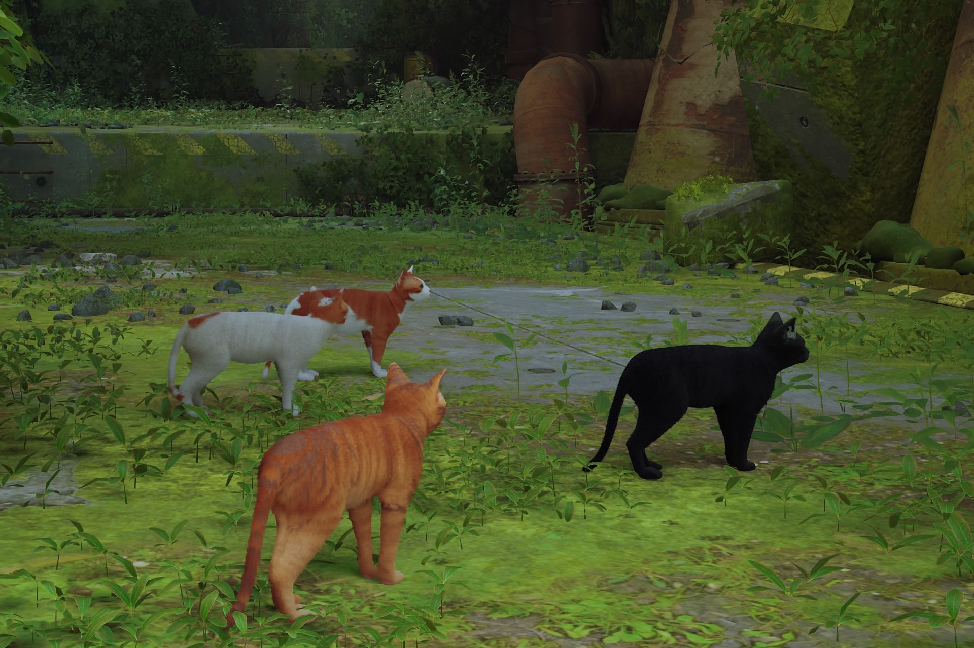 「猫ゲーム」ことStrayのワンシーン。猫を操作して進める猫目線のゲームなのだ。<br>©2022 BlueTwelve Studio Ltd. Published by Annapurna Interactive under exclusive license. All rights reserved.<br>Annapurna Interactive Privacy Policy & EULA