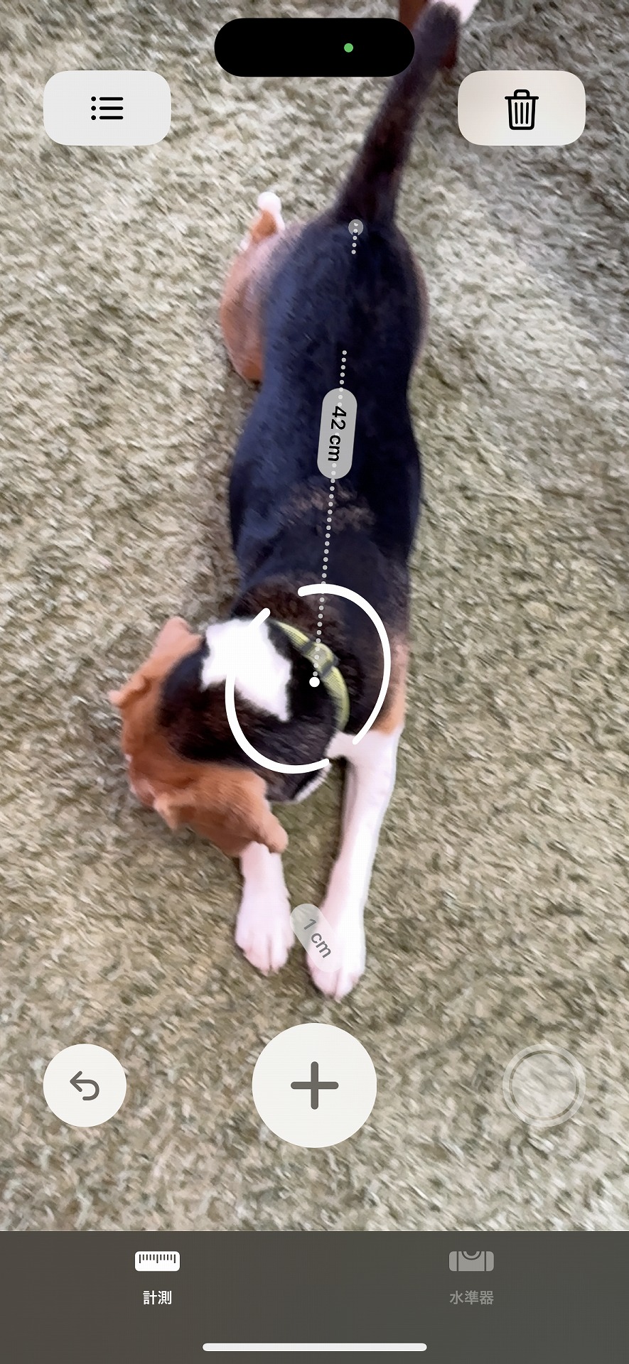 愛犬の体長も測れる