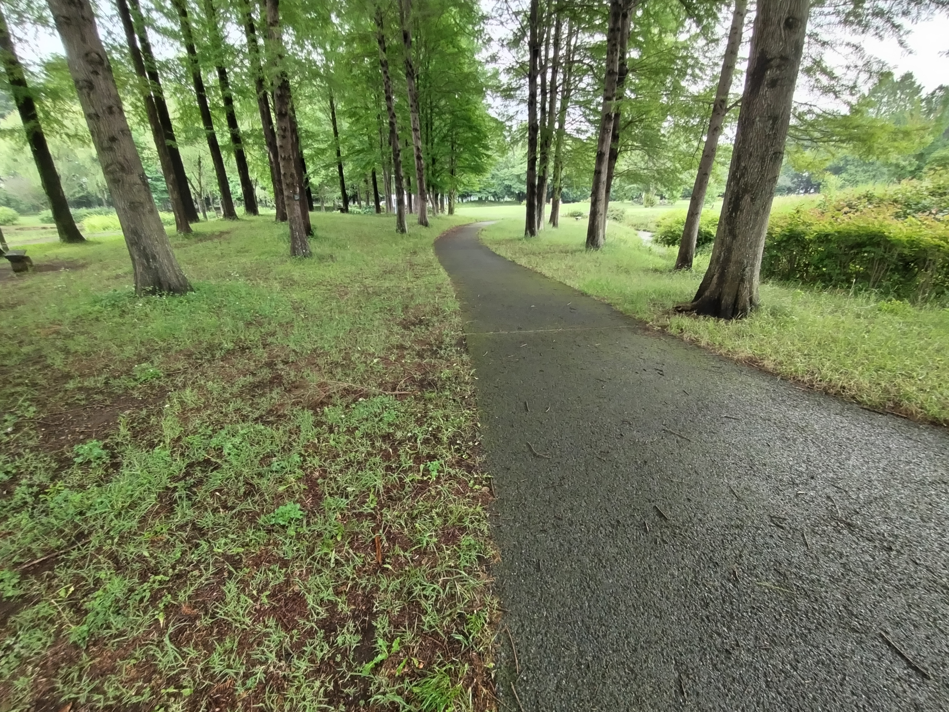 広角レンズで撮影。見たままの色で自然な雰囲気の描写がなされる。