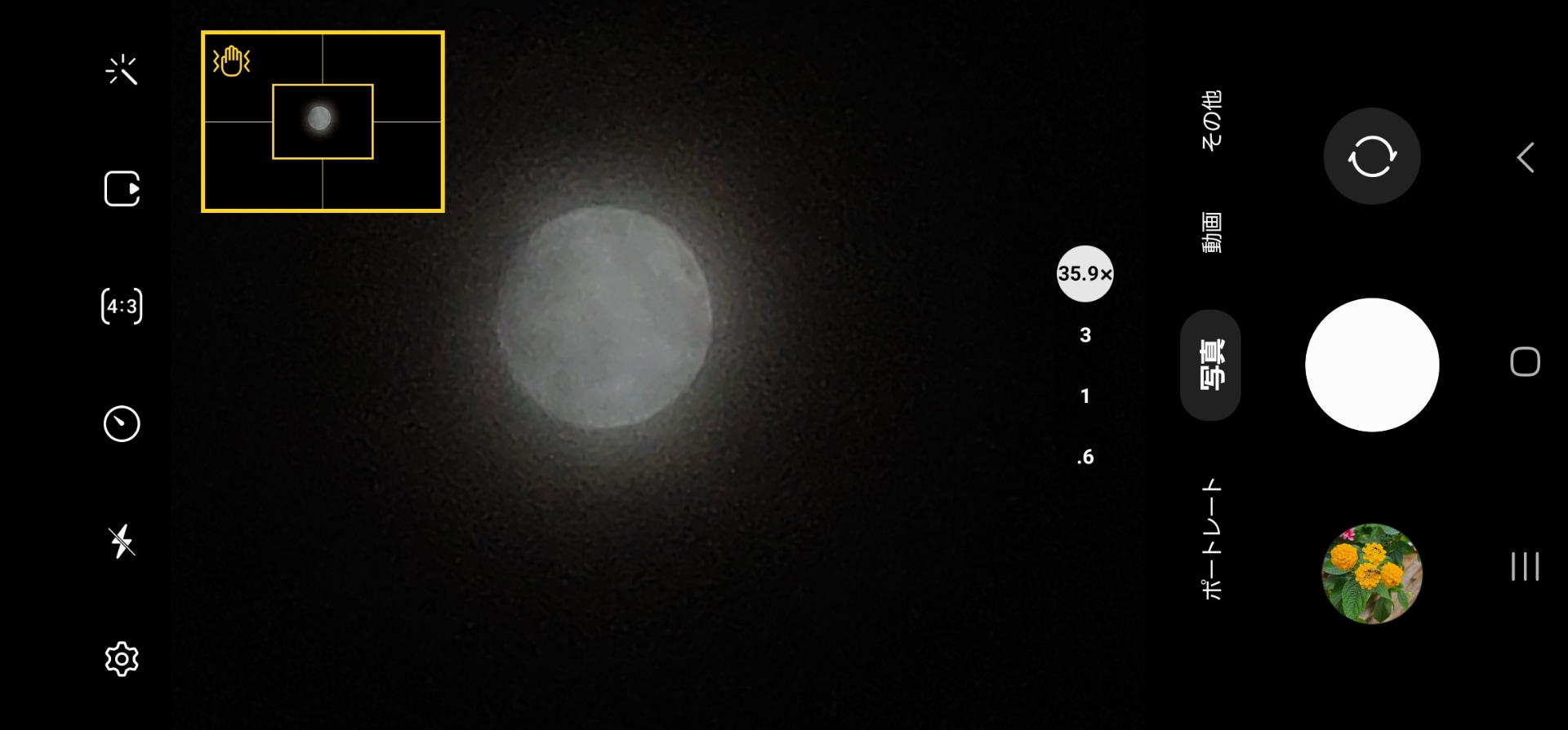 高倍率でのズーム時、左上にガイドが表示される。これによって、被写体の位置を把握しやすくなる