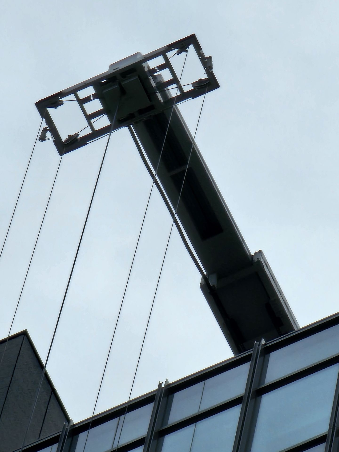 さらに倍率を上げると、肉眼ではまったく確認できないような部分も撮影できる