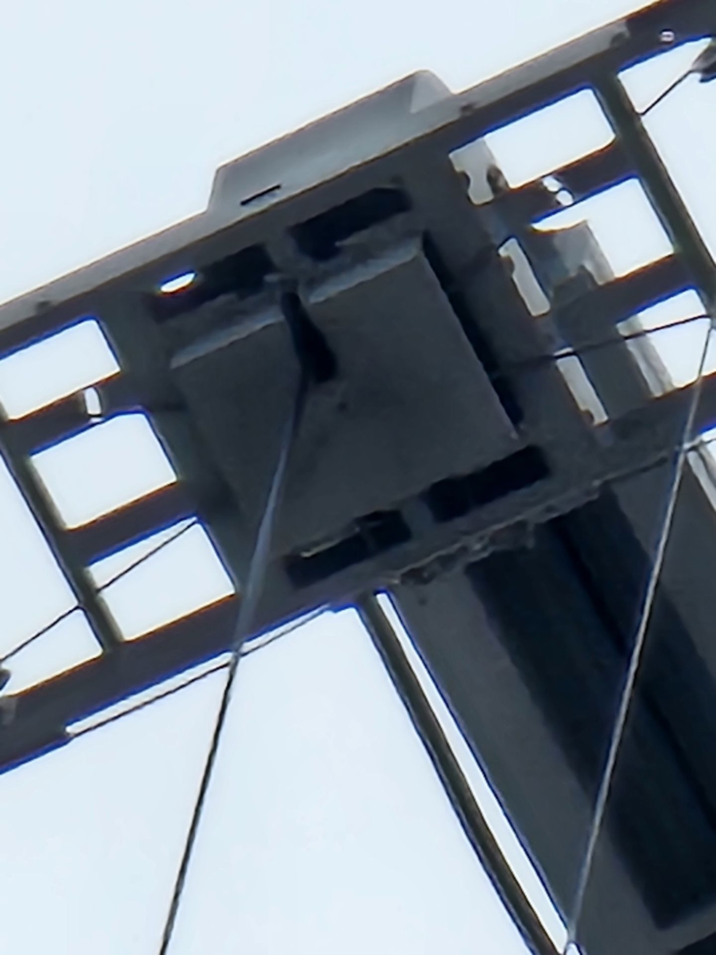 さらに倍率を上げると、肉眼ではまったく確認できないような部分も撮影できる