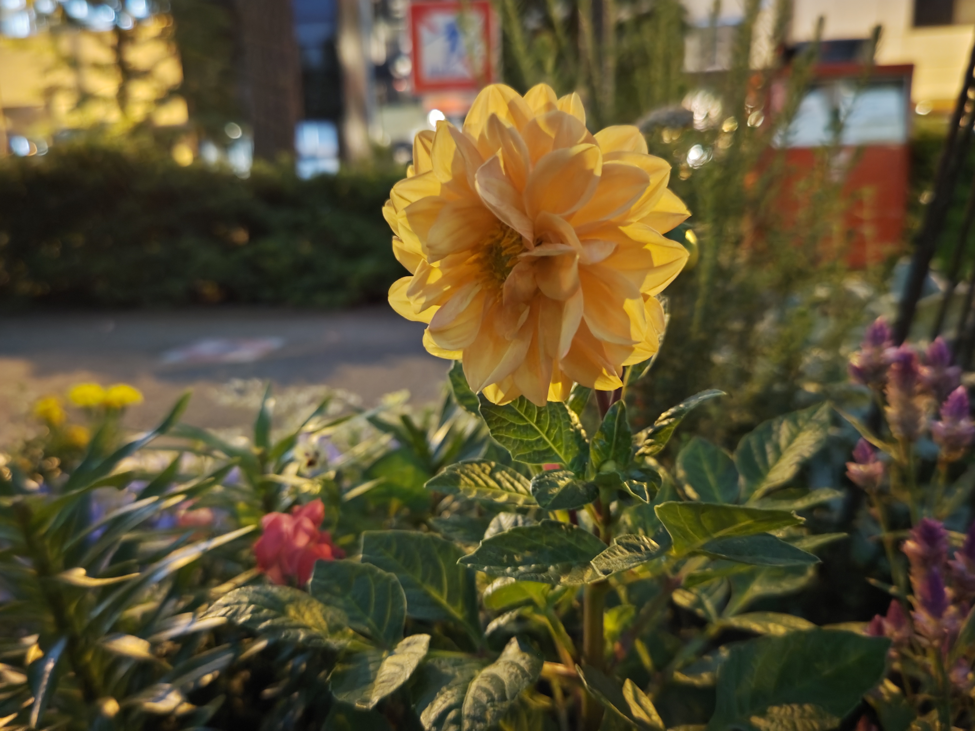 マニュアルでシャッタースピードを遅くして撮影したもの