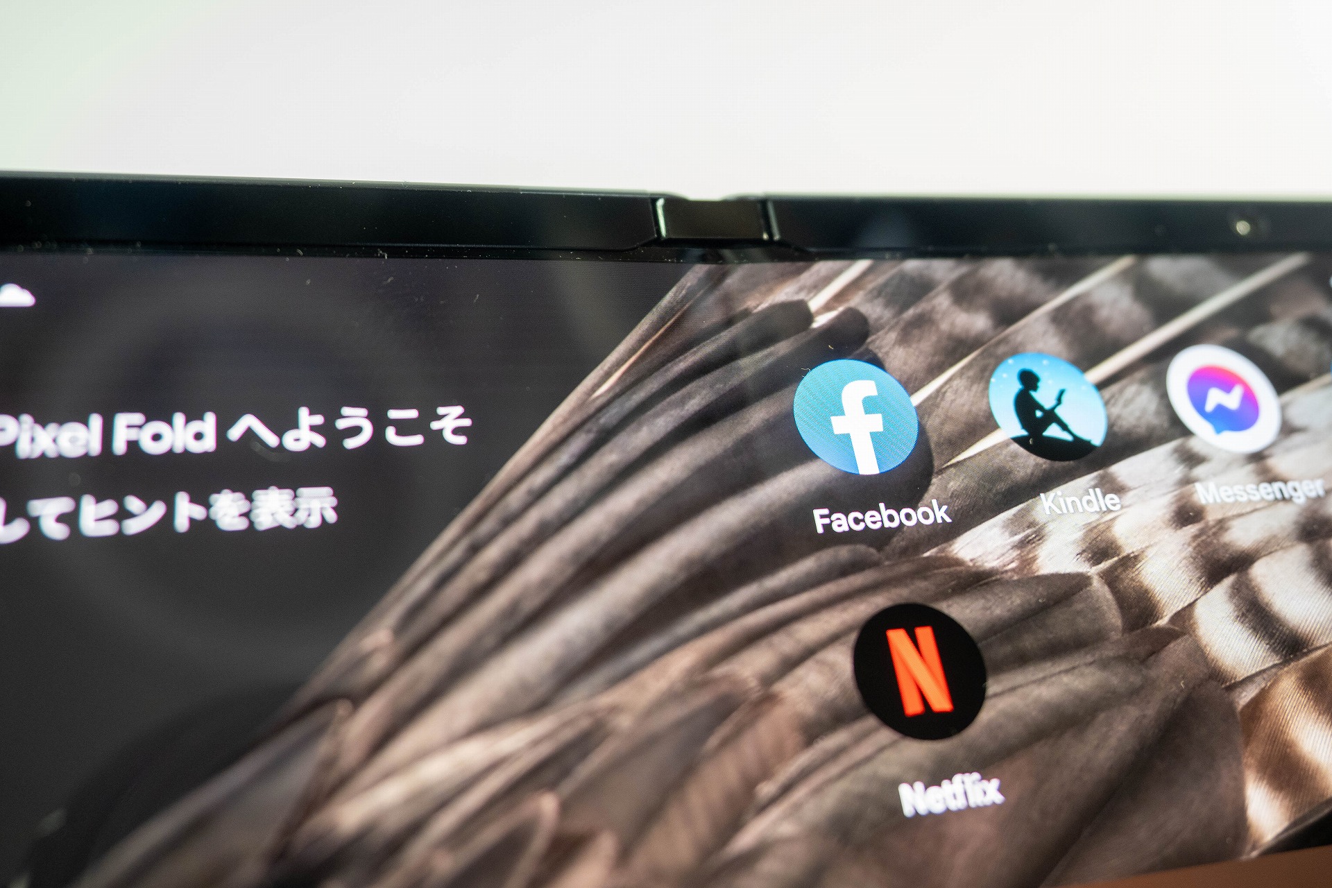 折り目は視認できるが気になるほどではない