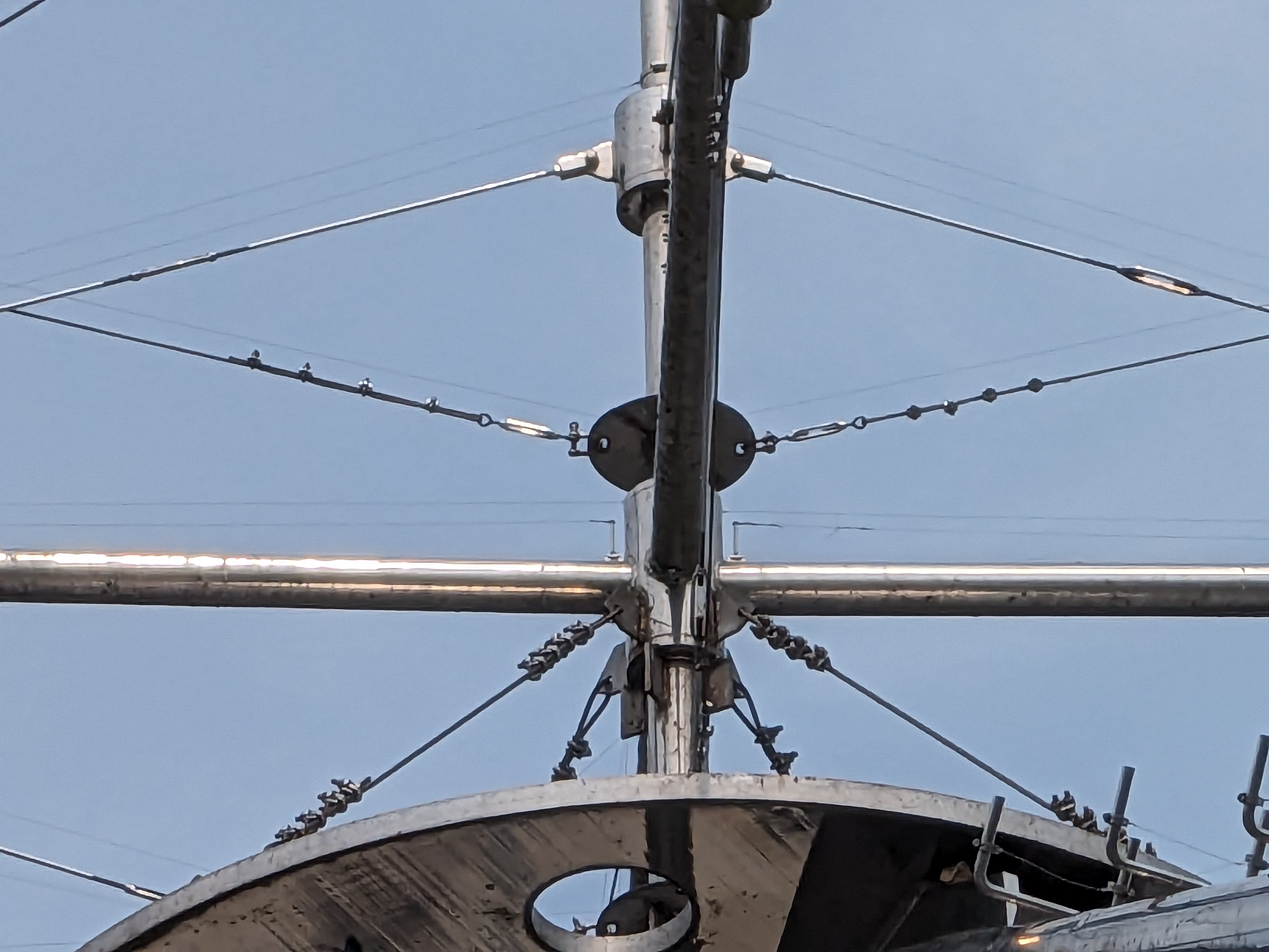 デジタルズーム20倍で撮影