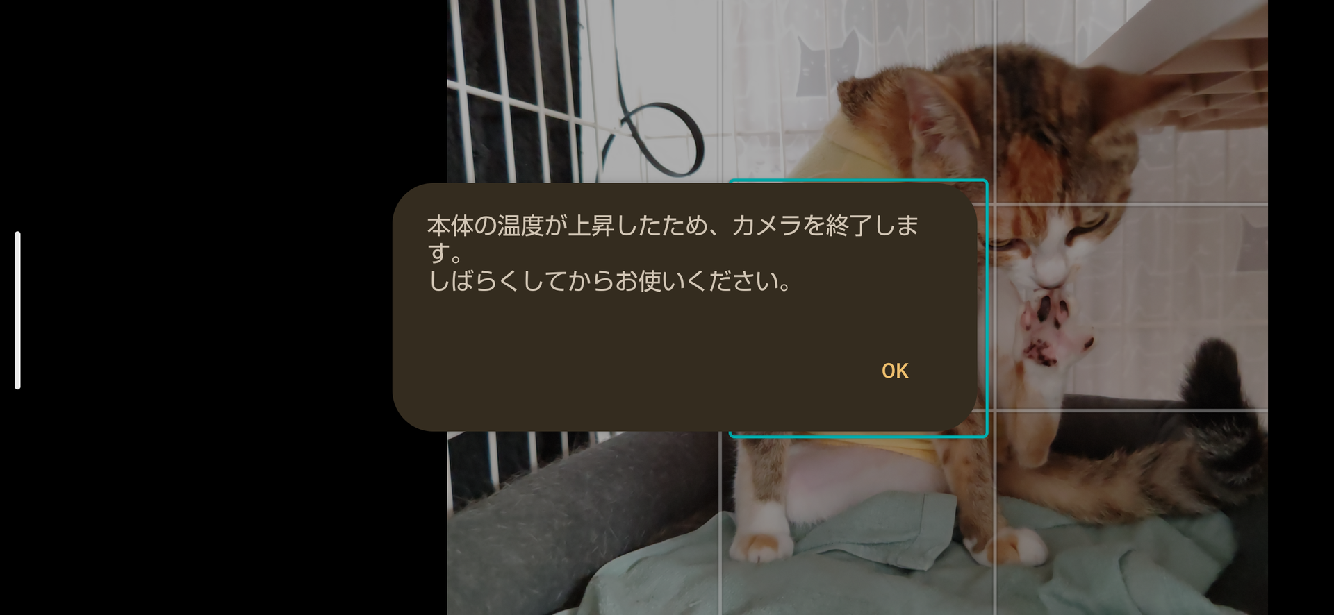 60枚ほど猫の写真を撮っていたら、突如として「熱くて使えない」（意訳）という表示が