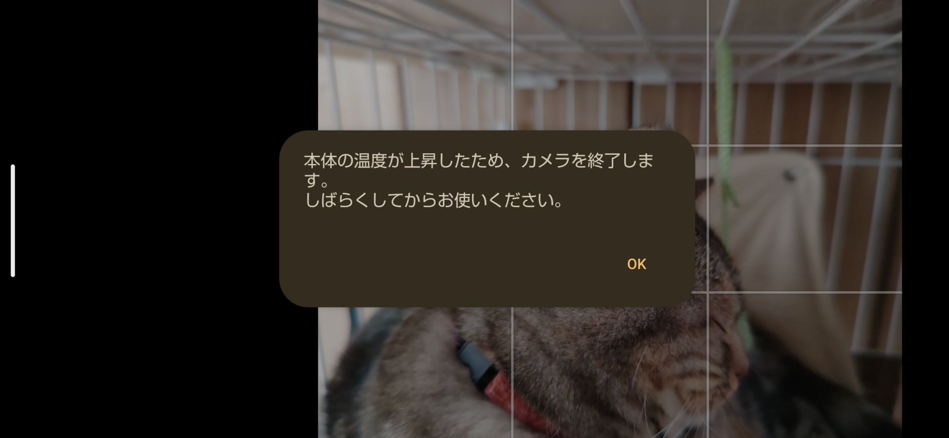 それでも停止してしまった。悲しい……