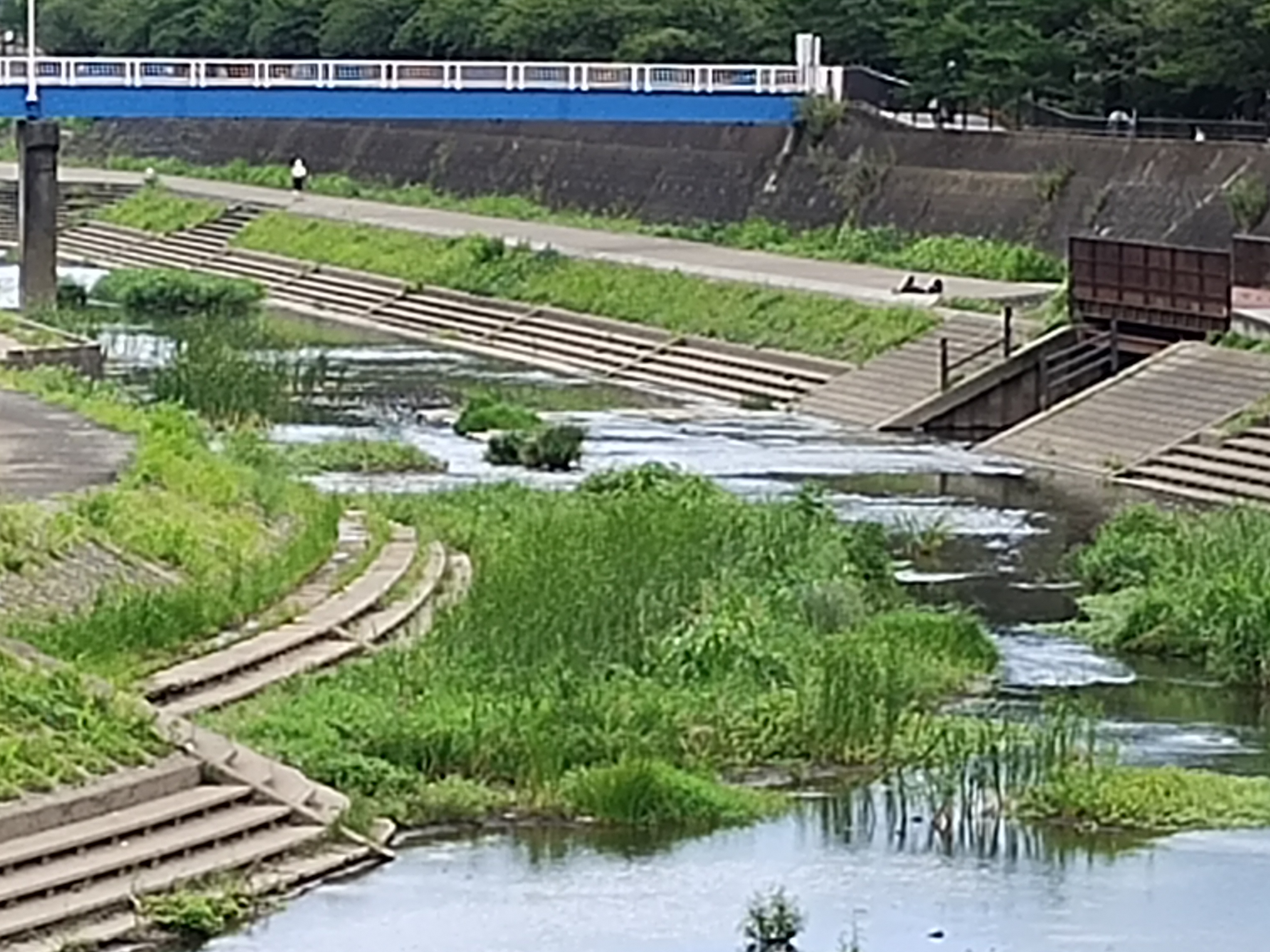 デジタルズーム最大の8倍で撮影