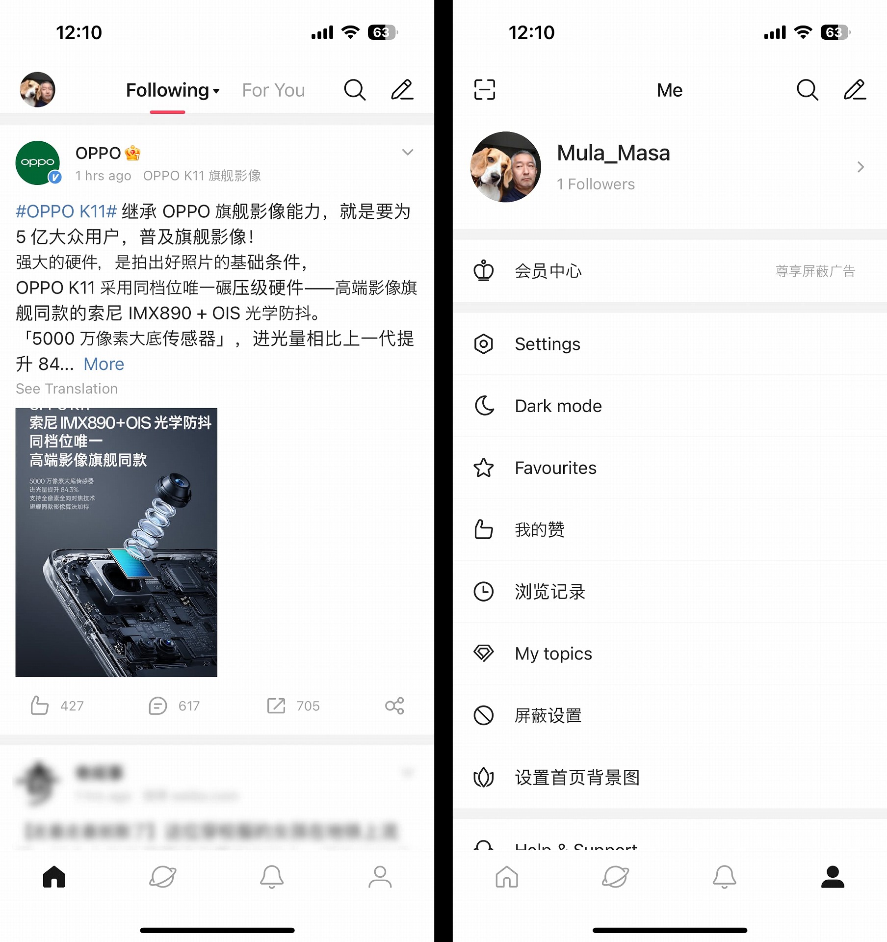 国際版の「Weibo intl.」アプリのホーム画面（左）と自分の画面（左）