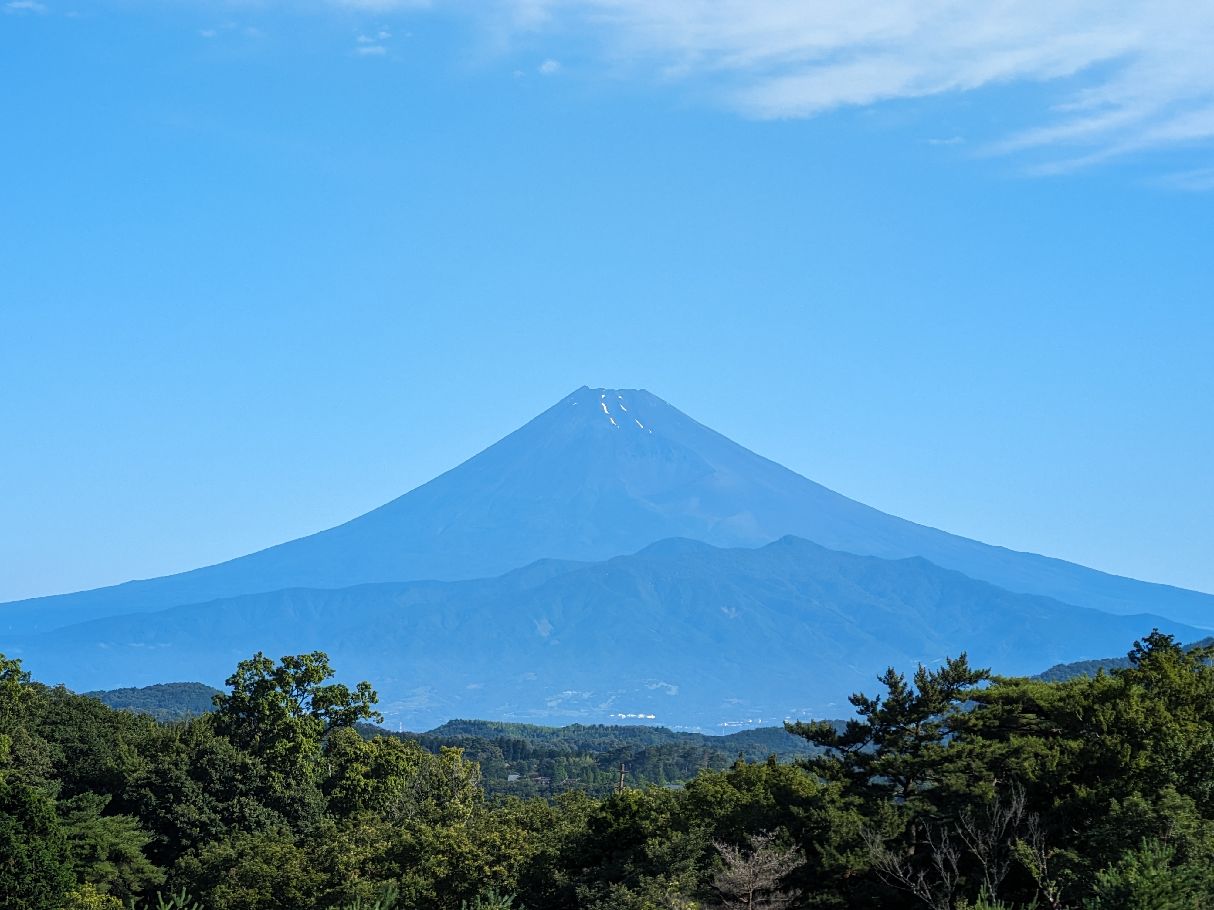 望遠カメラの5倍で撮影