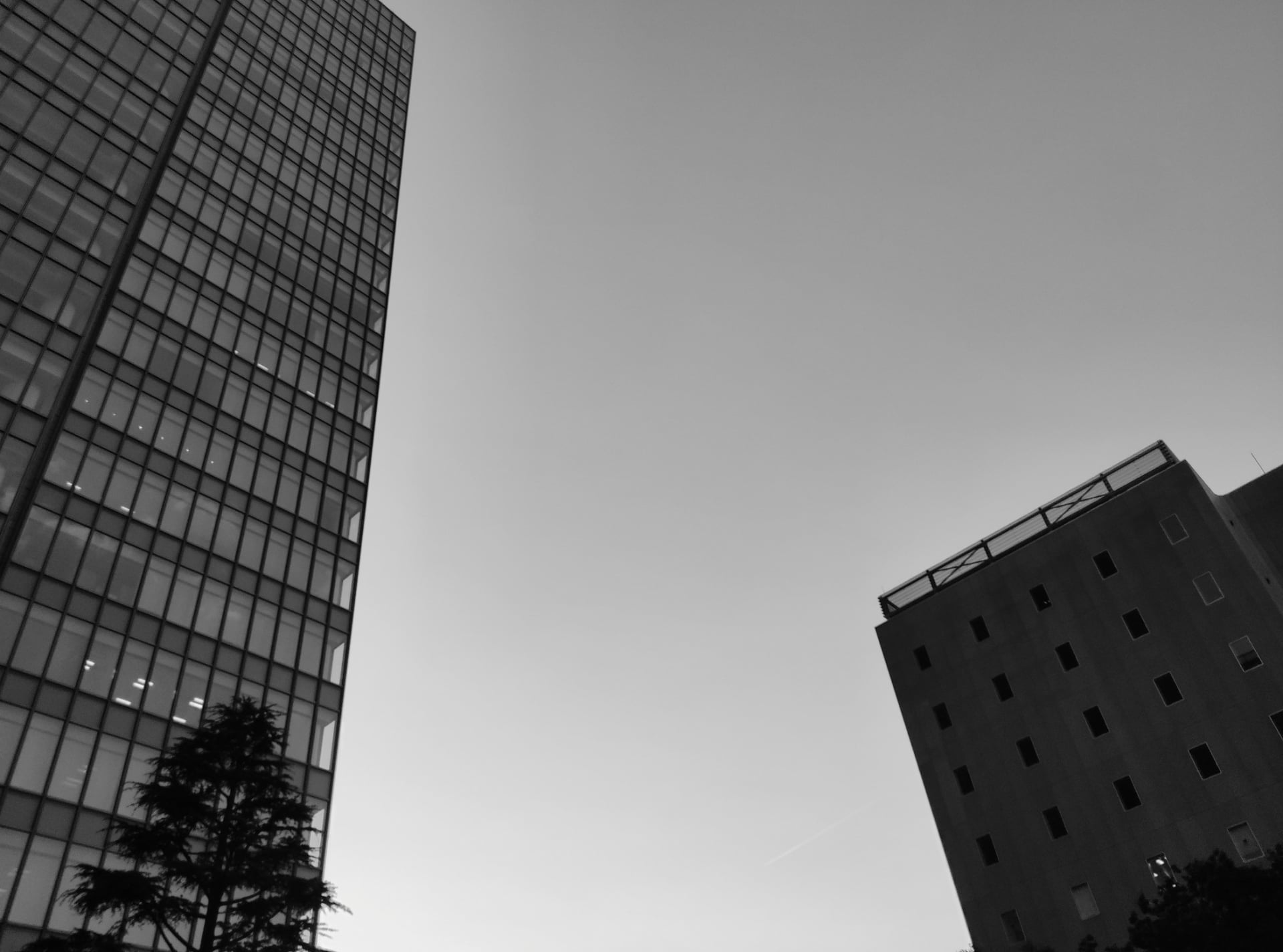 「B＆W」フィルター