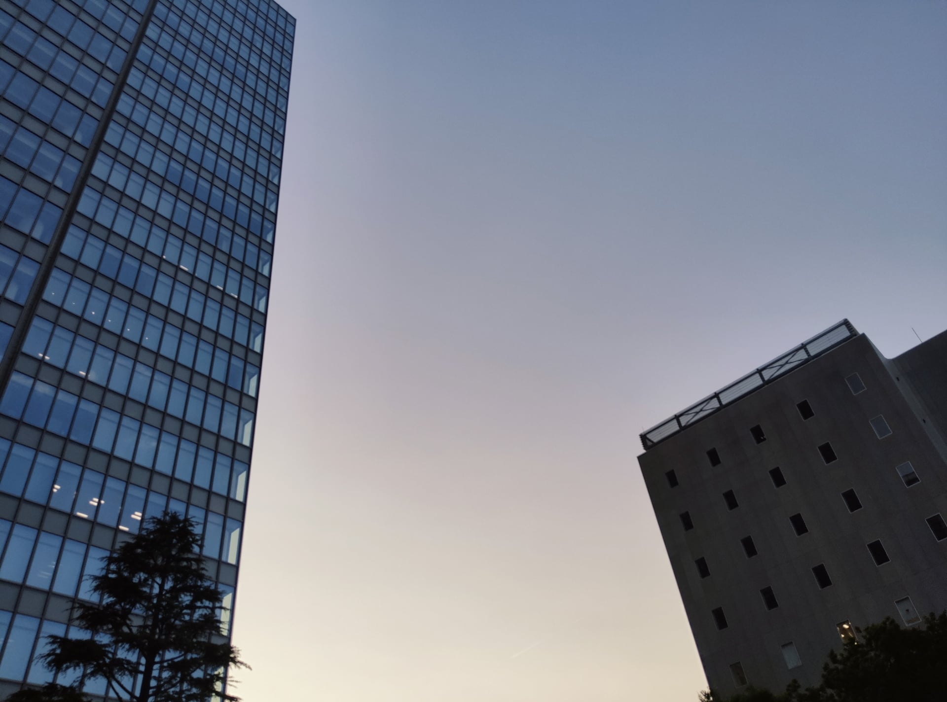 「ビビッド」フィルター