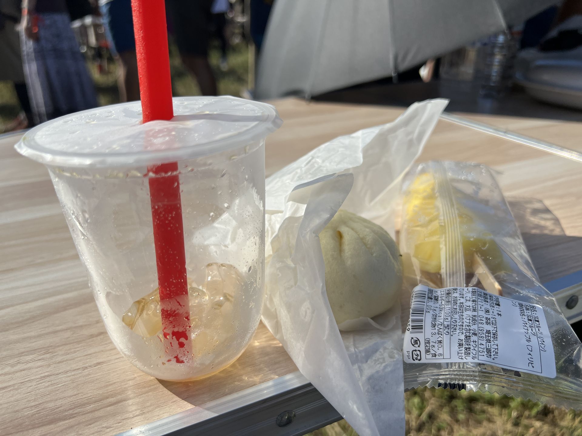 ようやく買えた氷入りのドリンクを一気飲み。冷凍パインを脇に挟んで、熱中症の危機を乗り越えました