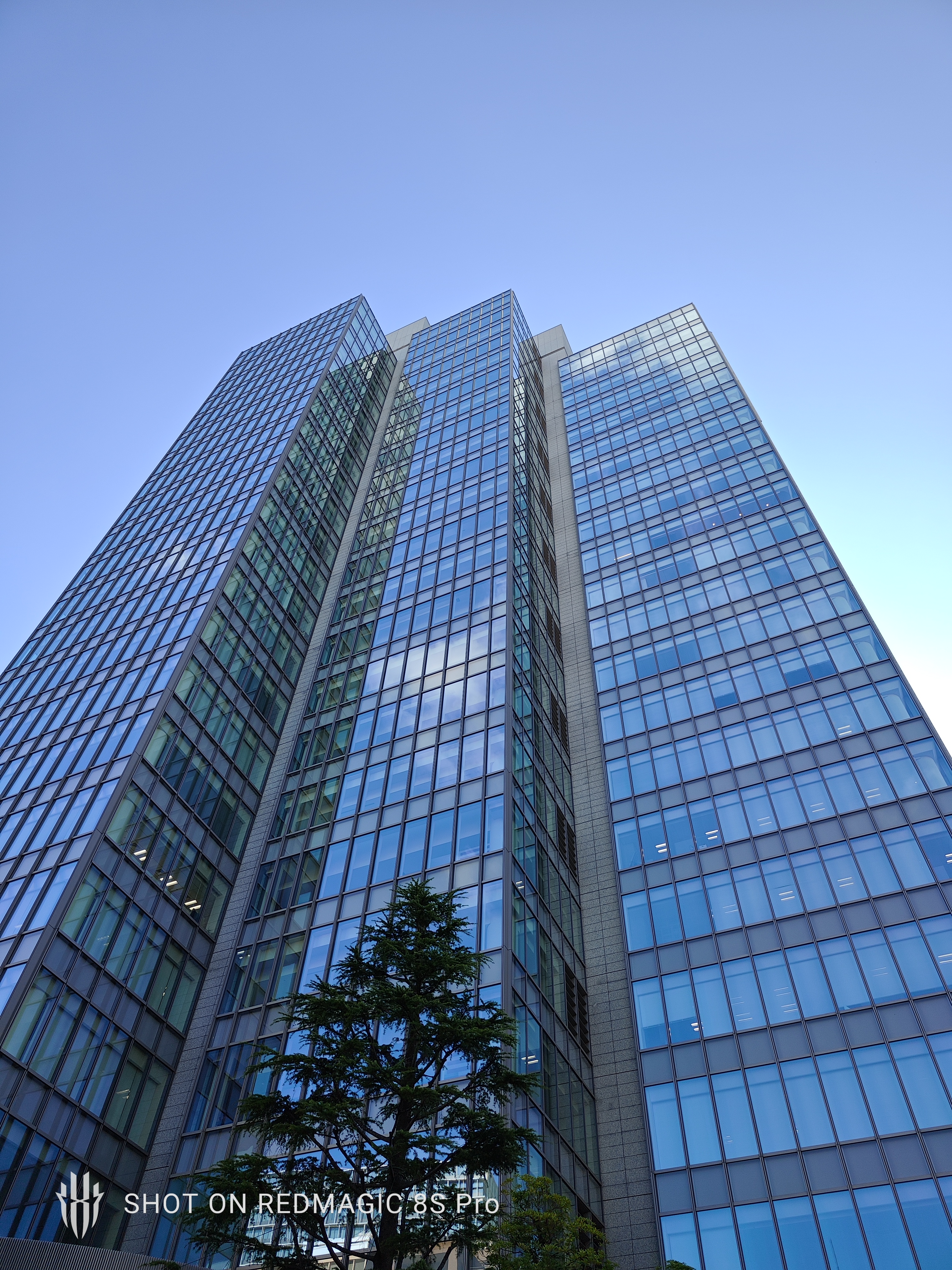 標準（1倍）の作例