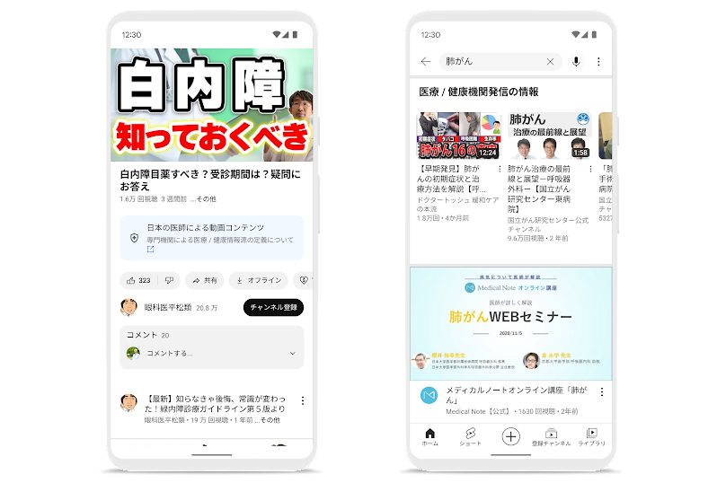 パネル（左）と情報セクション（右）