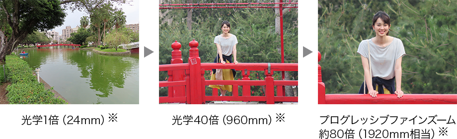 キヤノン公式サイトよりPowerShot SX740 HSの望遠イメージ。プログレッシブファインズームの約80倍・1920mm相当なら、画面いっぱいに満月を写せる。