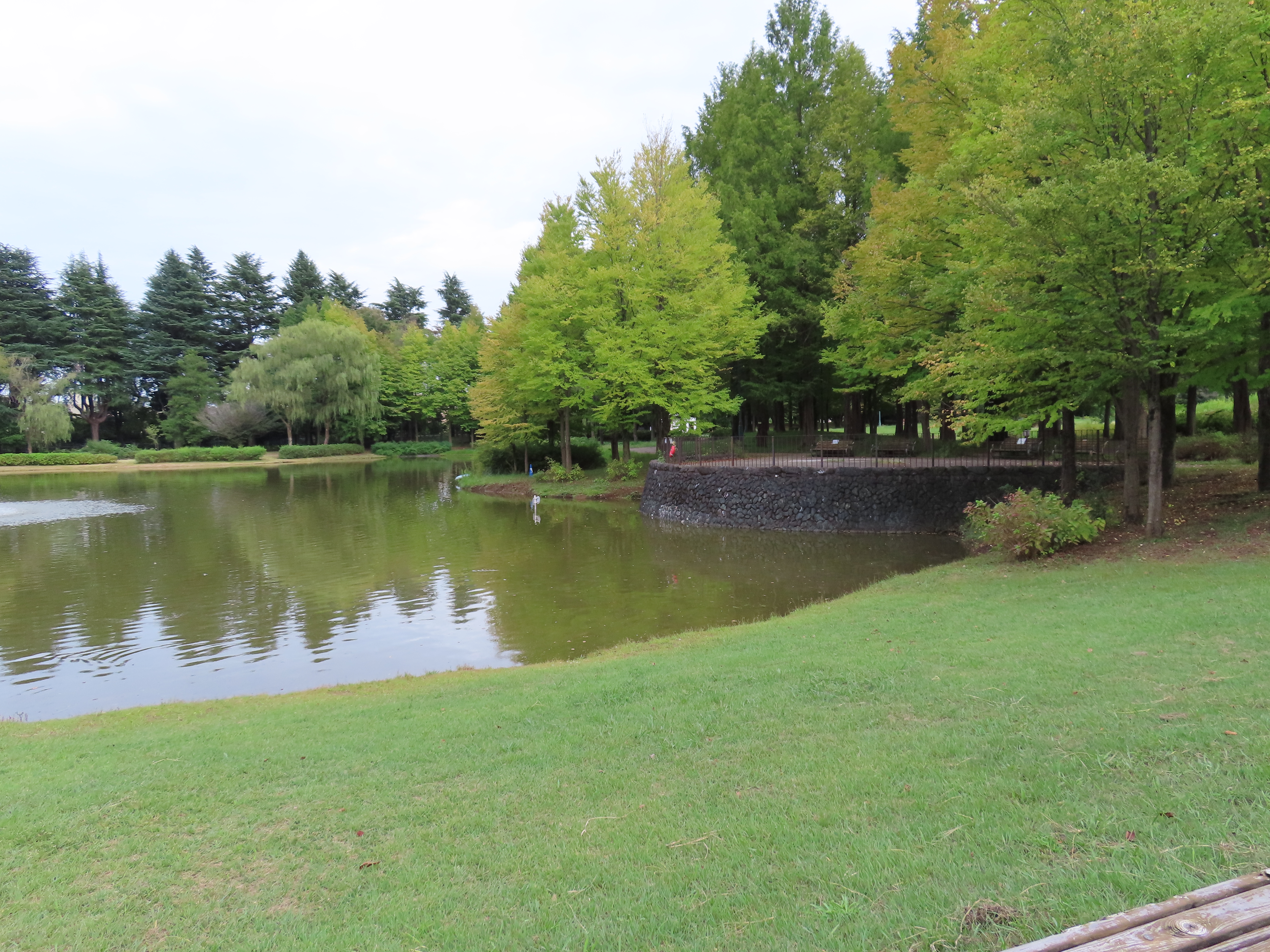 被写体を変えて同様にズーム撮影。光学望遠端960mmで十二分に楽しめるしツカエる。