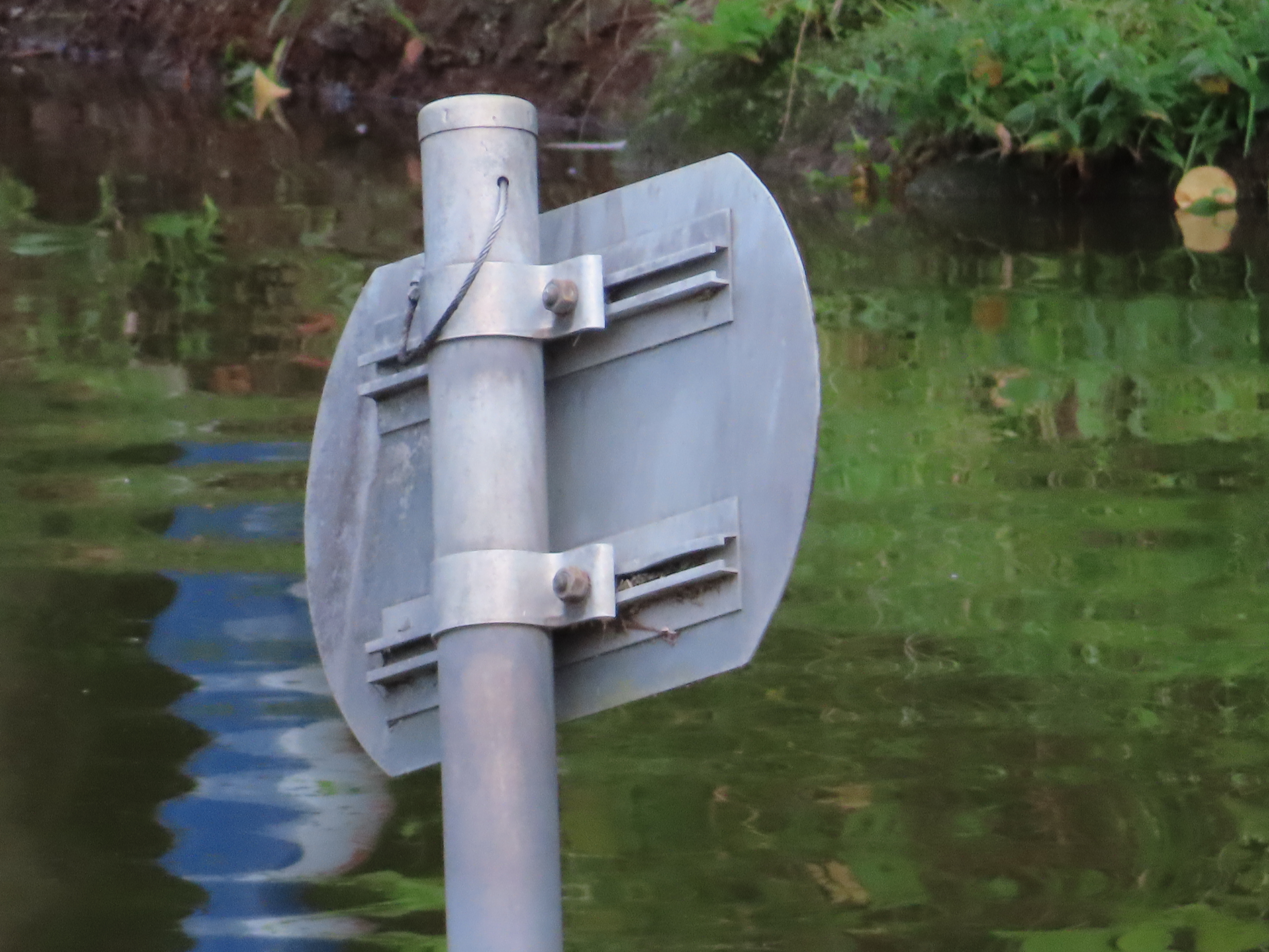 被写体を変えて同様にズーム撮影。光学望遠端960mmで十二分に楽しめるしツカエる。