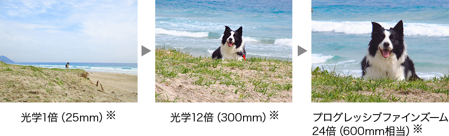 キヤノン公式サイトよりIXY 650の望遠イメージ。このサイズのコンデジで光学300mmで撮れるってスゴい。