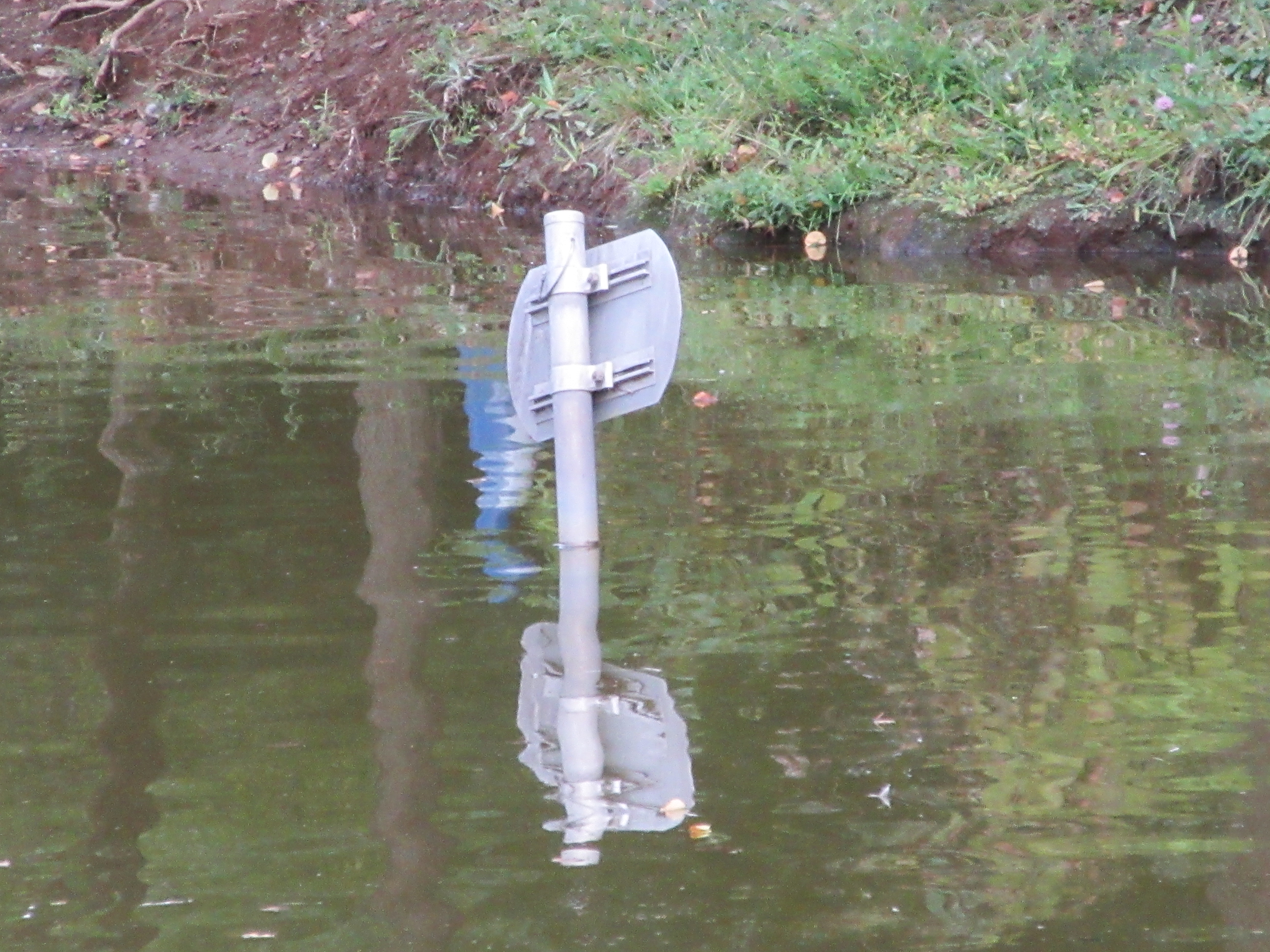 ポケットサイズのコンデジでこういう望遠撮影を楽しめるのはイイっすね〜。