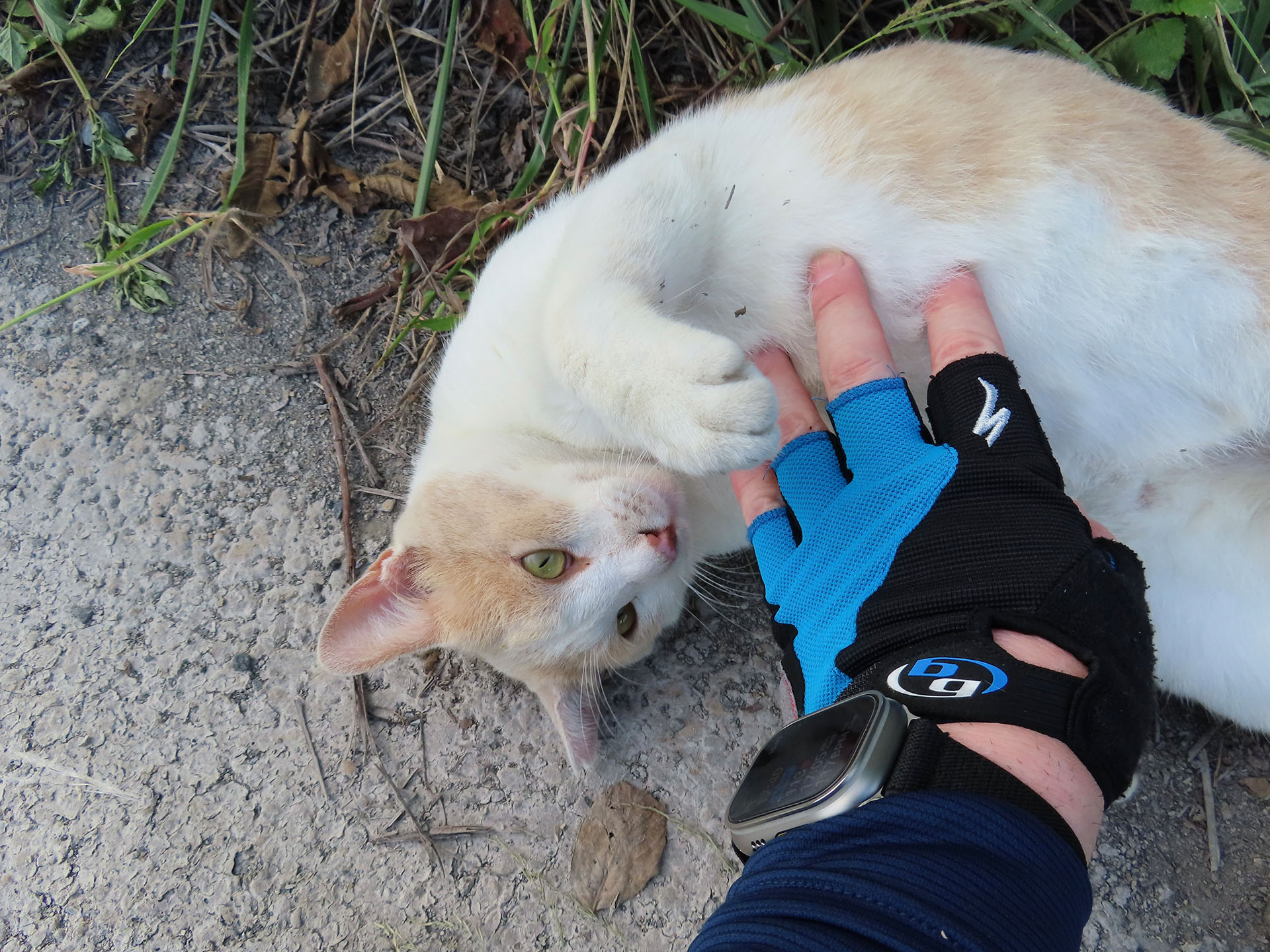 お腹も触らせてくれる！