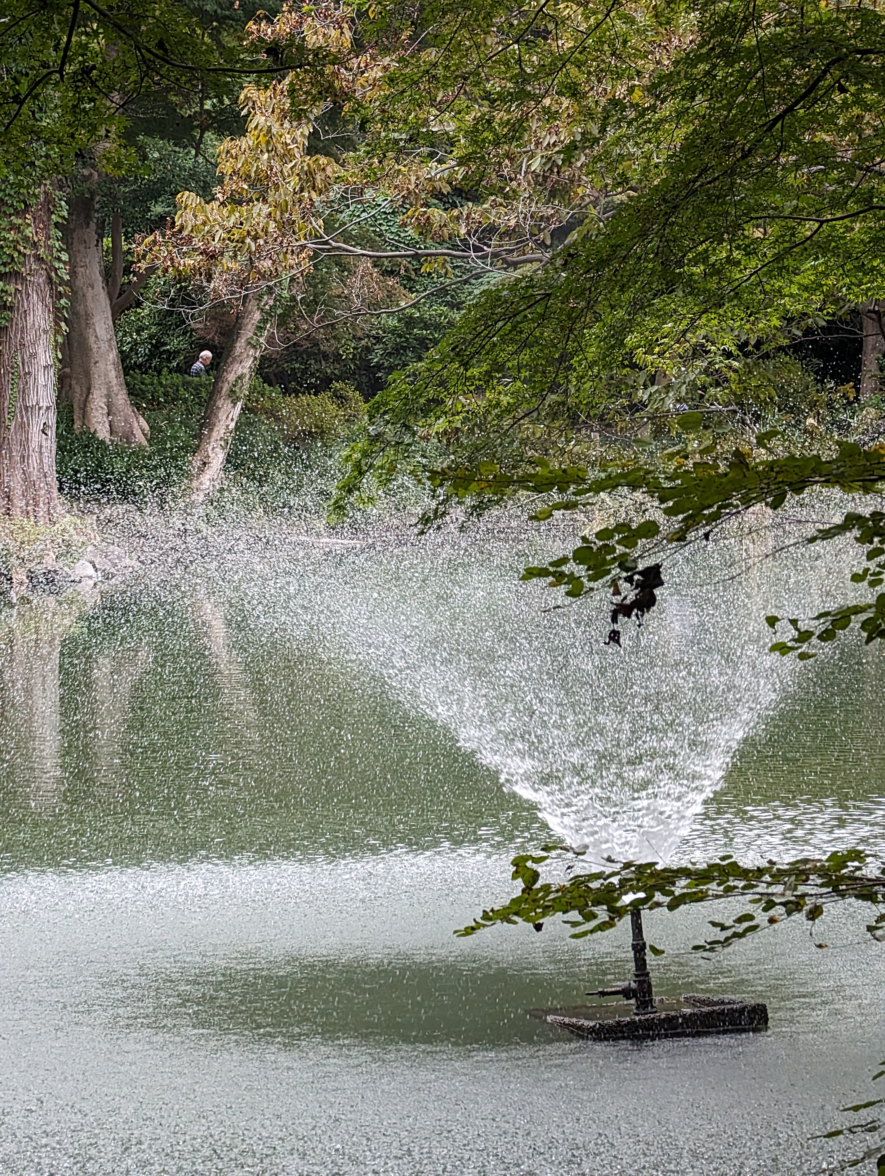 「Pixel 8 Pro」の望遠カメラはシャープに写る。公園の噴水もご覧のとおり。飛沫の一粒一粒がわかりそうな感じ。