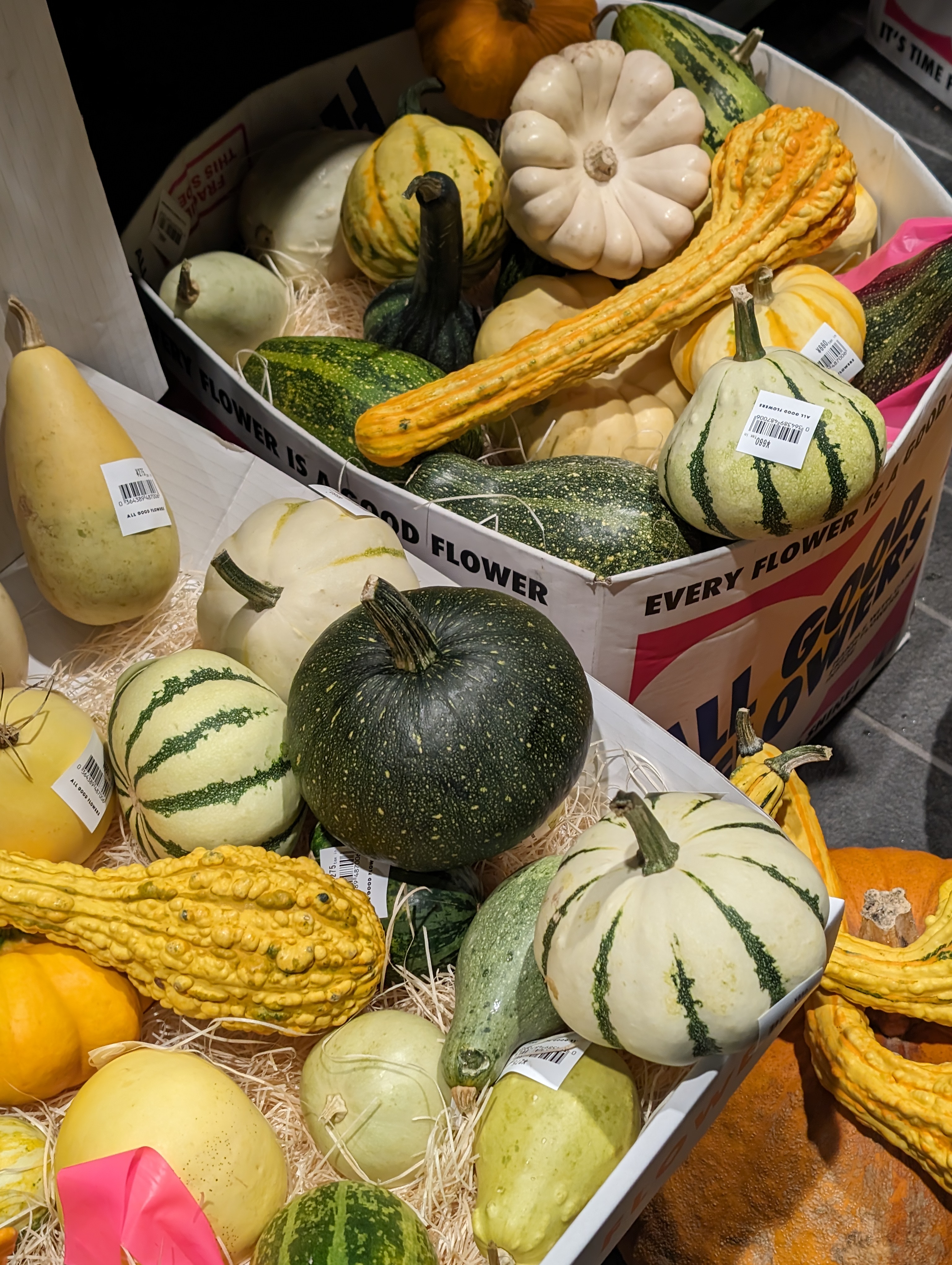 とある店先をスナップ。光量がある場所だったので、置かれていた野菜のディテールを余すところなく捉えることができた。メリハリのあるいい写りである。