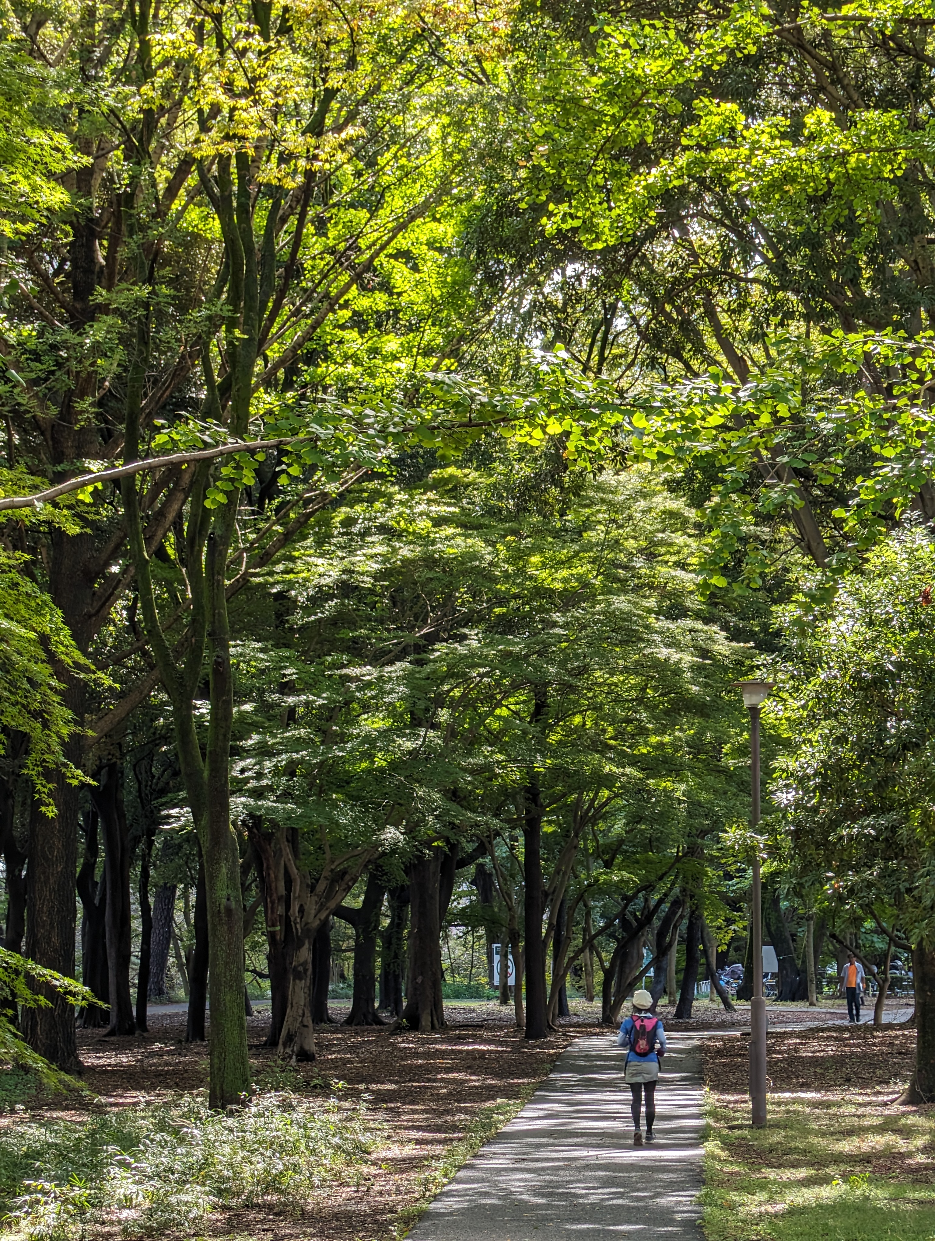 「Pixel 8 Pro」の描写は好感が持てる。ヒトの見た目に近い風合いと発色がいい。今回人物を撮影するチャンスがなかったが、以前から人種を問わずリアルなスキントーン描写に定評があるのでポートレート撮影にも向いているはずだ。