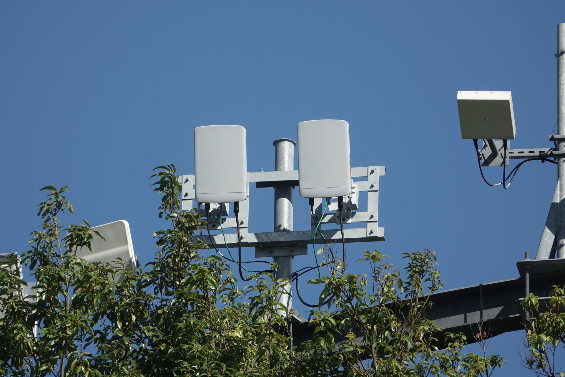 会場内、ミリ波のアンテナ