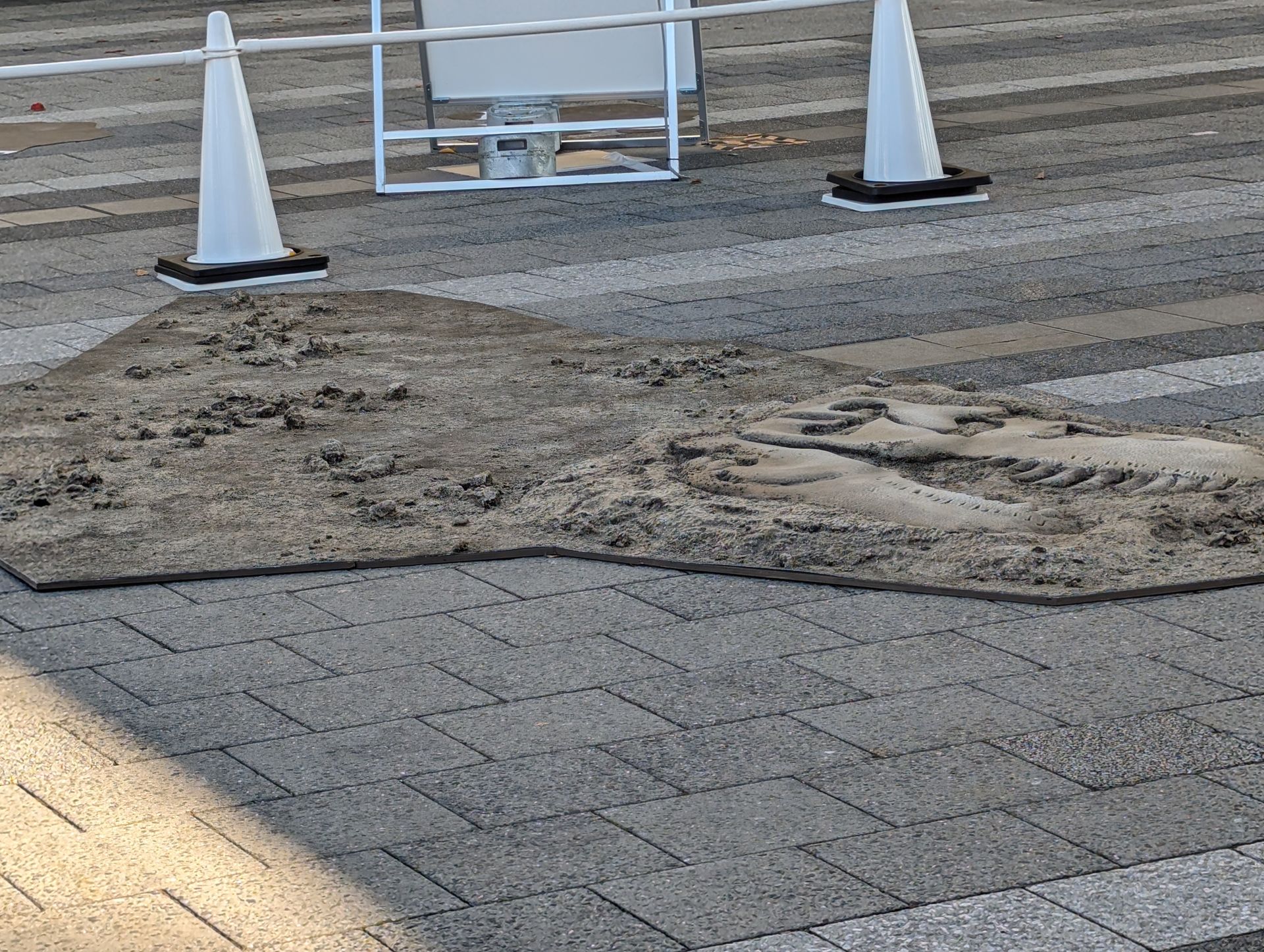 リアルな化石その1