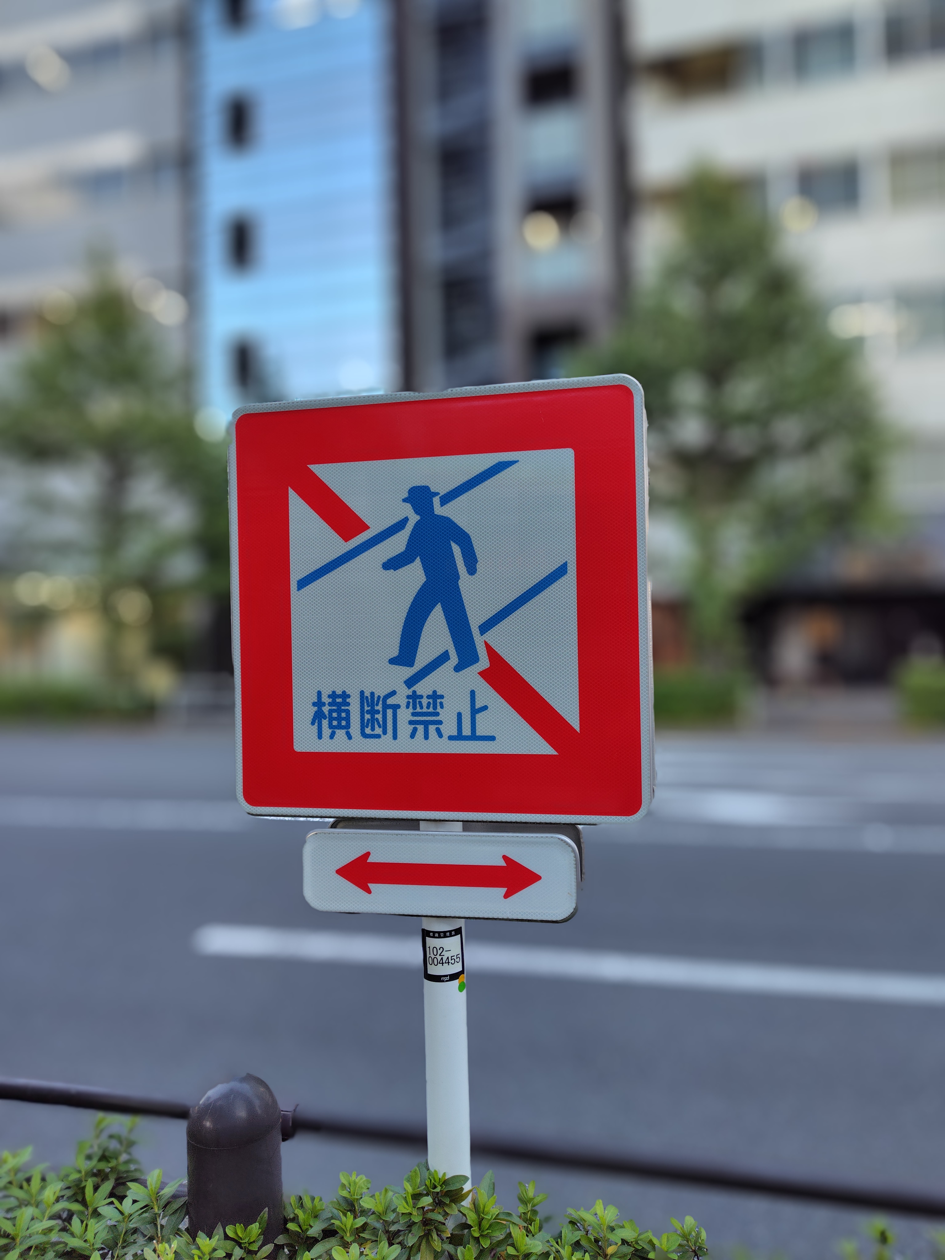 ボケ量10（最大値）