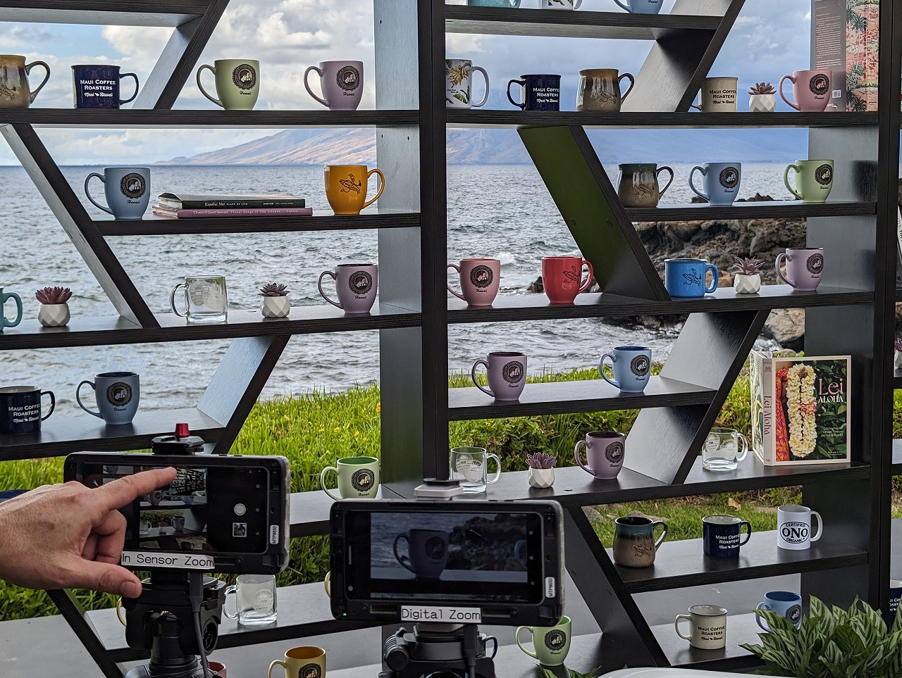 デジタルズームとセンサーズームの比較