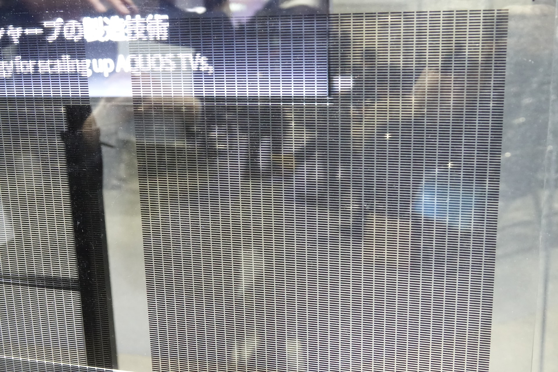 「構造B」のペロブスカイト太陽電池。黒い部分がセルだが、向こう側が透けて見える