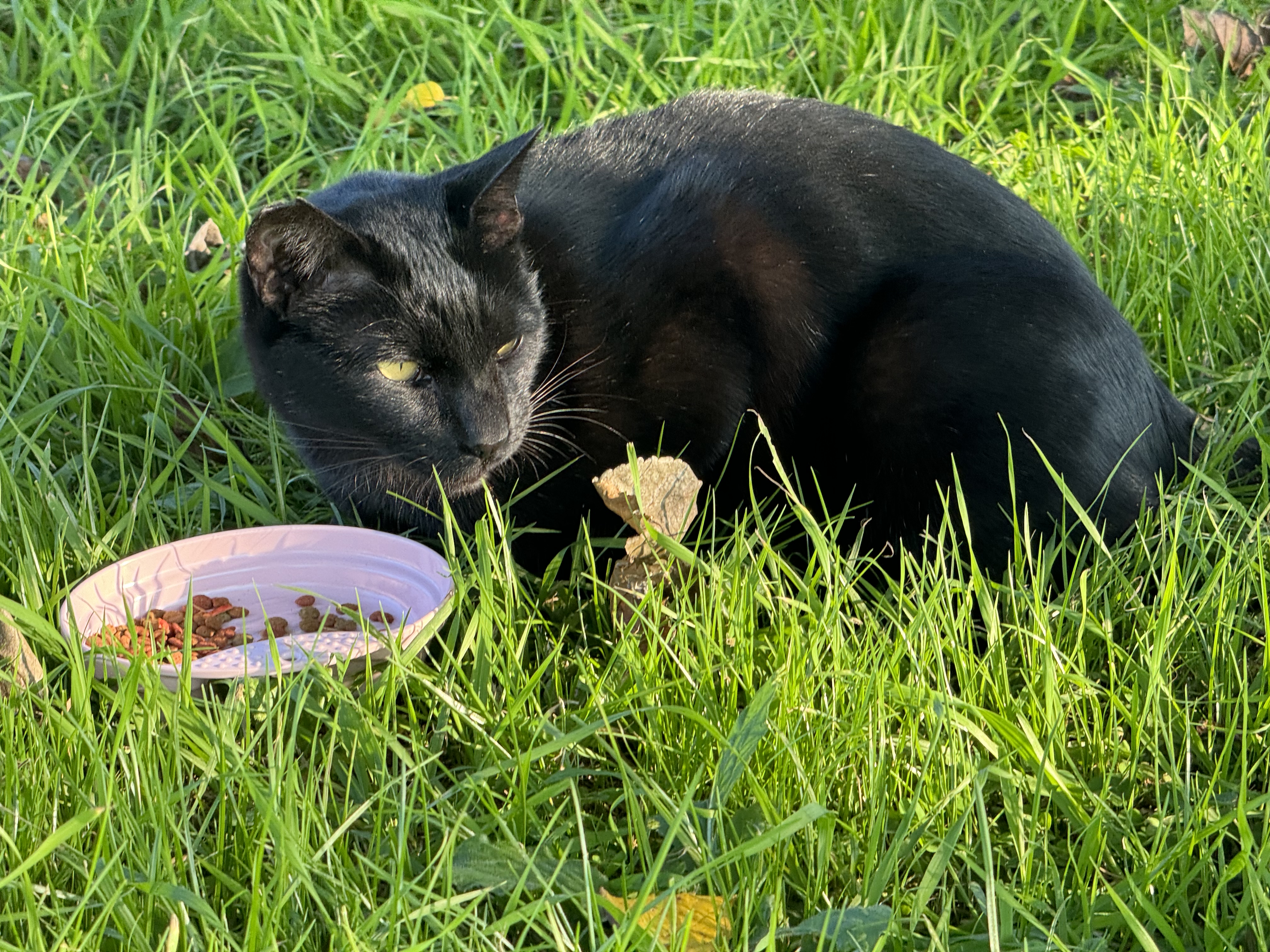 iPhone 15 Pro Maxの望遠カメラ（120mm相当）で撮るとこうなる。メインカメラ（「1×」/24mm相当）からすると5倍ズームという画角。このくらい寄れるといろいろな被写体を手軽に撮れる。