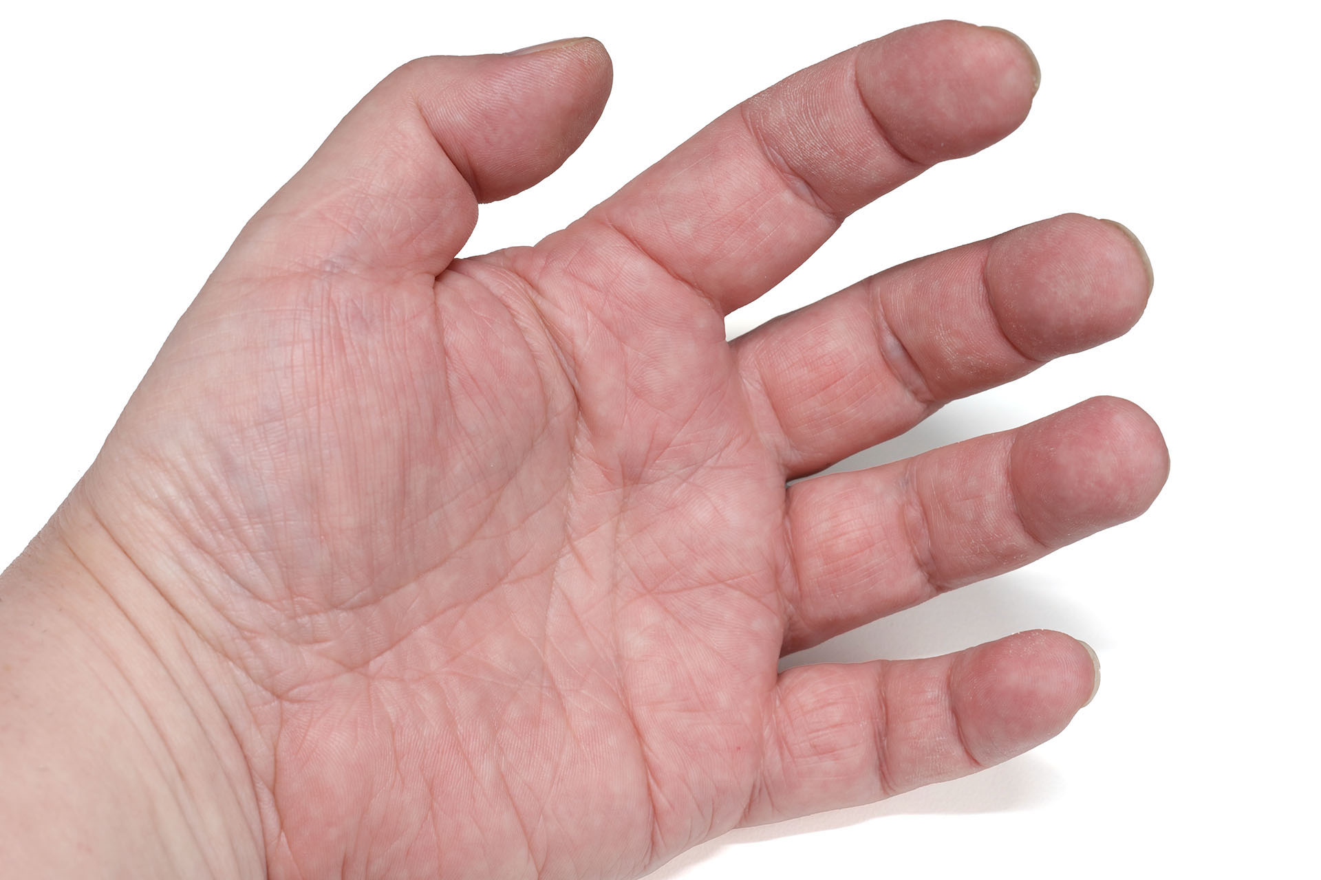 人間の手ってすごい！　キミも深夜の製麺工場で検品のアルバイトをして1g単位の違いがわかる手になってみないか？　みないよね。いまはきっとセンサーで重さを量る検品とかだろうし。